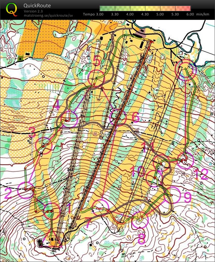 Slalom-O (2010-01-24)