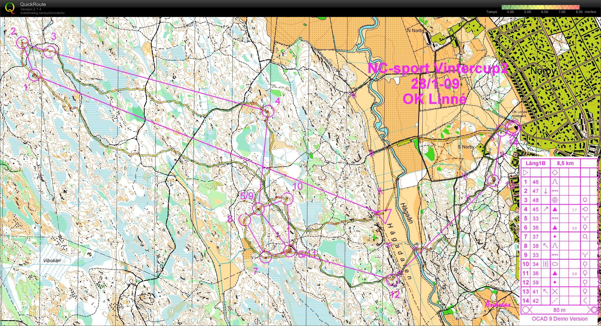 nattcup 1 eller nån cup 2 nej 1, fast kanske 2 jo  (2009-01-30)