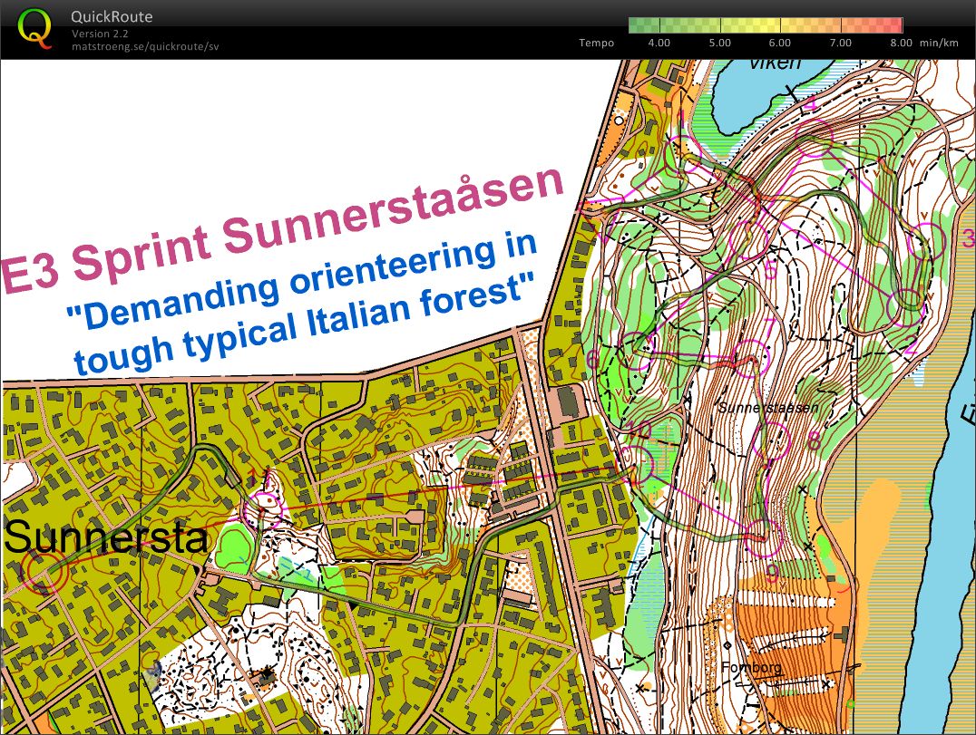 Sprintträning (07.02.2009)