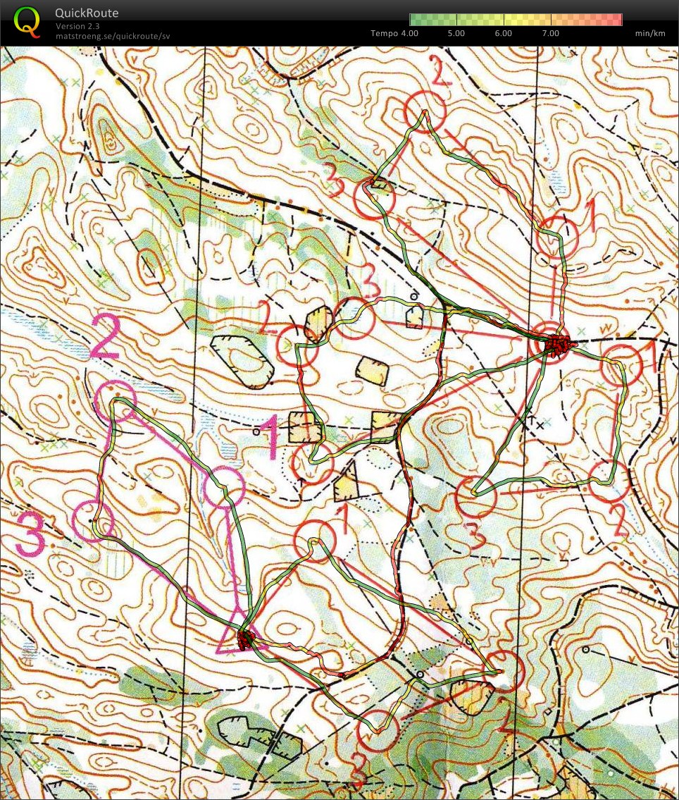 OL-intervaller (2010-08-10)