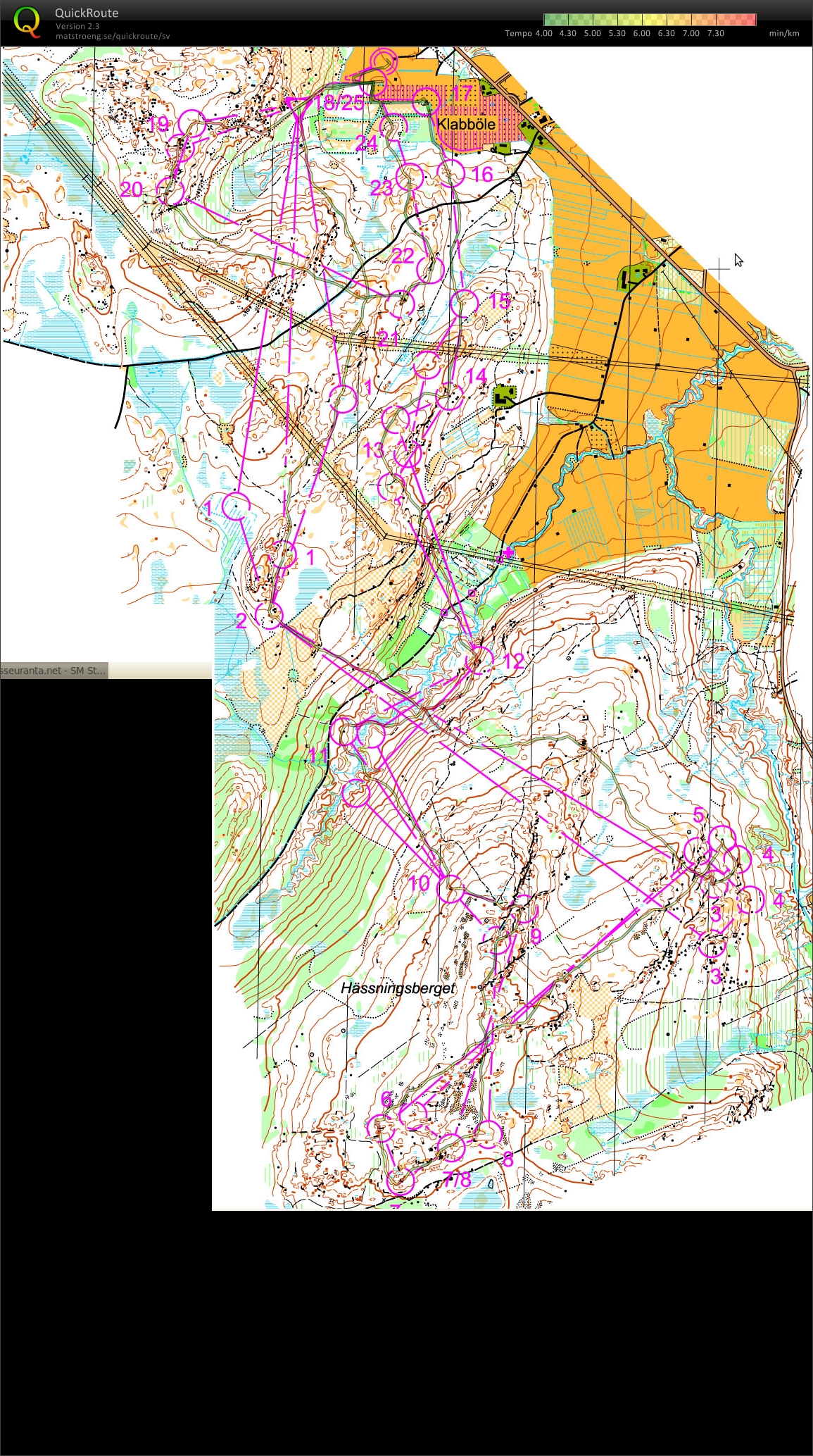 SM-Stafett (06-09-2010)