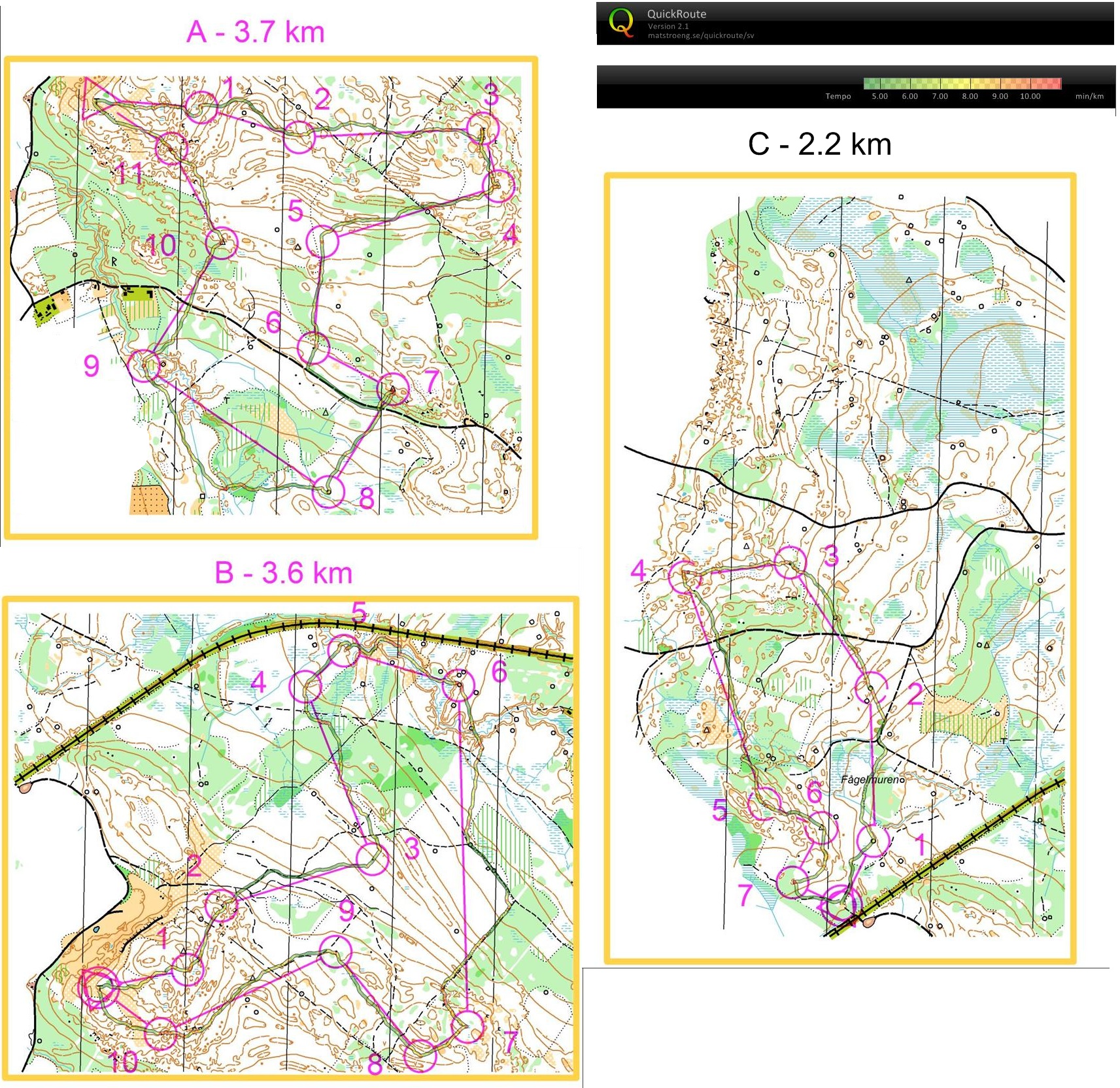 3 x Medeldistans Igeltjärn (2008-12-24)