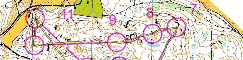 Juldagsträning