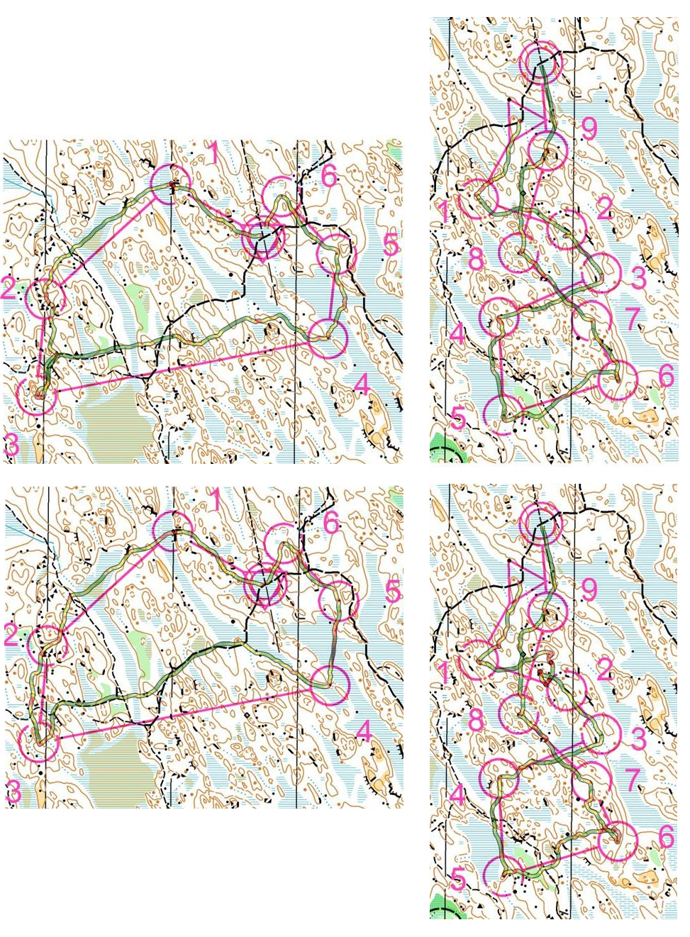 Intervall-ol (2009-01-06)