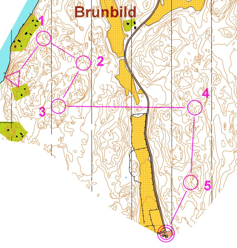 Jukolaträning, Brunbild lång (07-06-2012)