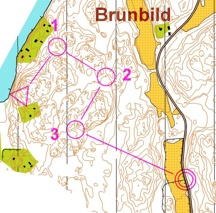 Jukolaträning, Brunbild mellan & kort (07.06.2012)