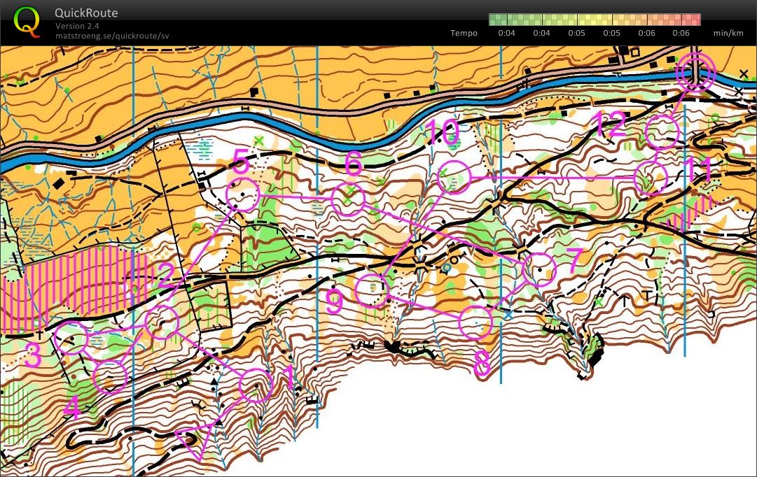 Downhill-Sprint (15-08-2012)