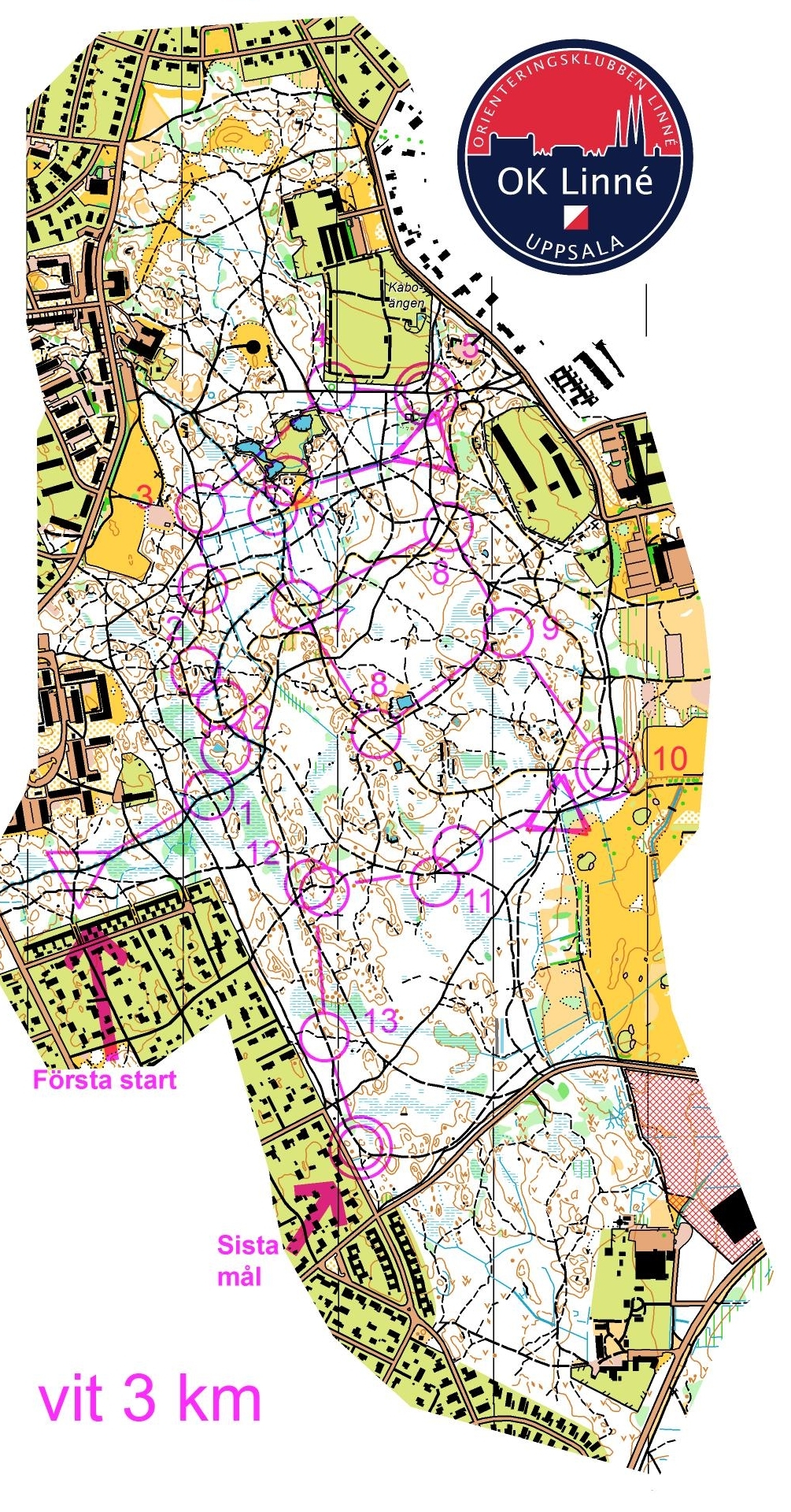 25mannaträning vit 3 km (04.09.2012)