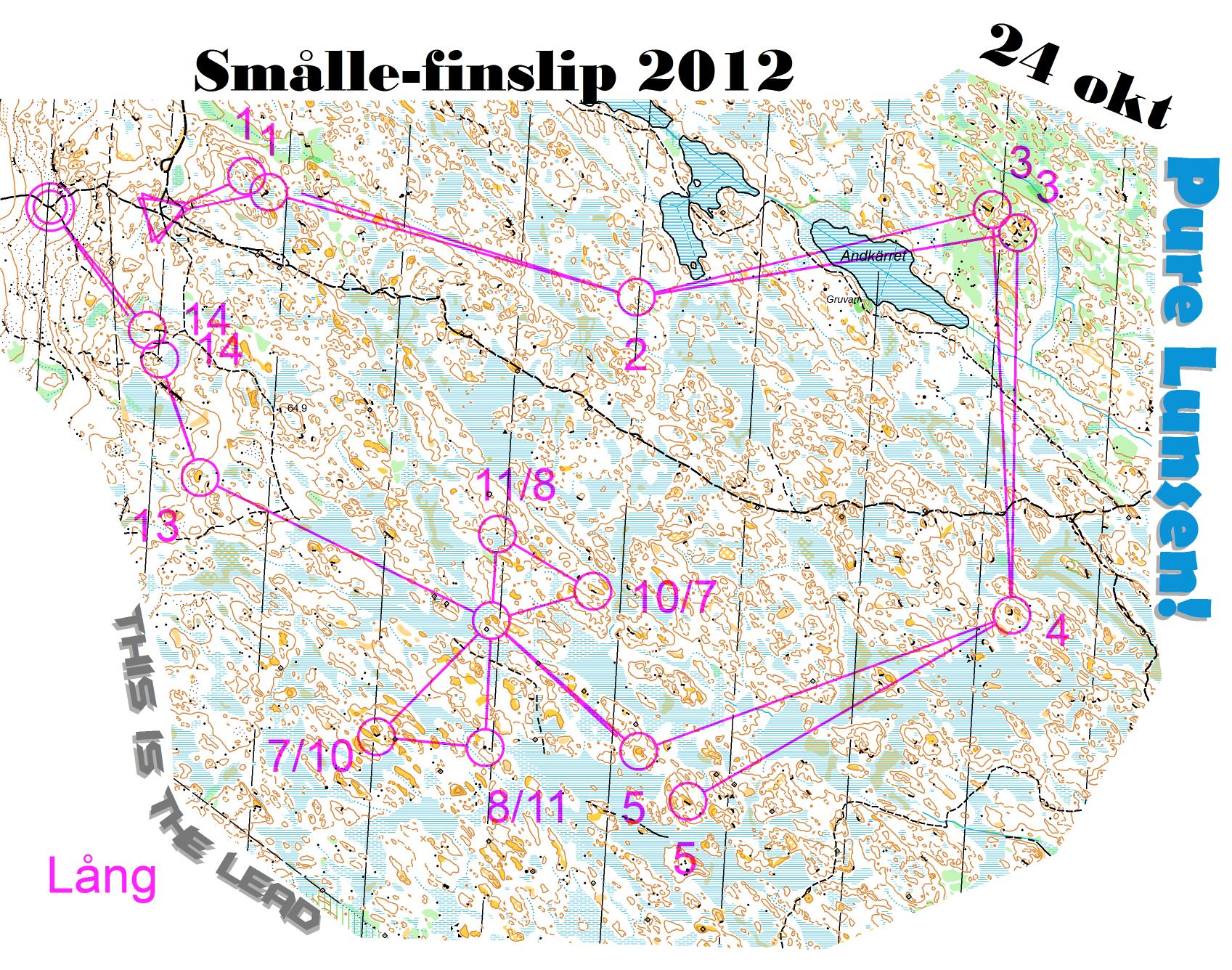 Smålandskavle-finslip, lång (24.10.2012)