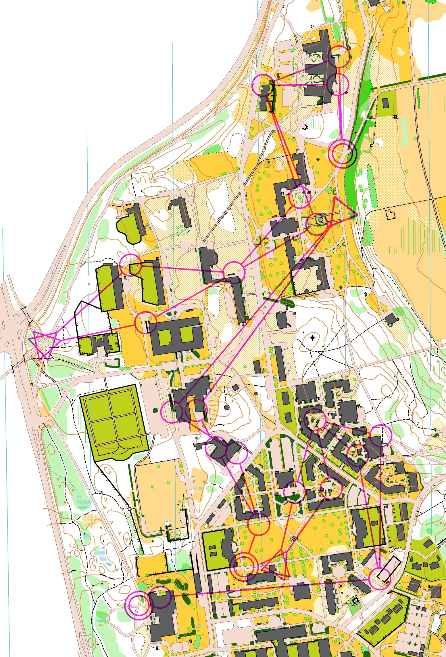 SprintOL-Intervaller, del 1 (2013-01-31)