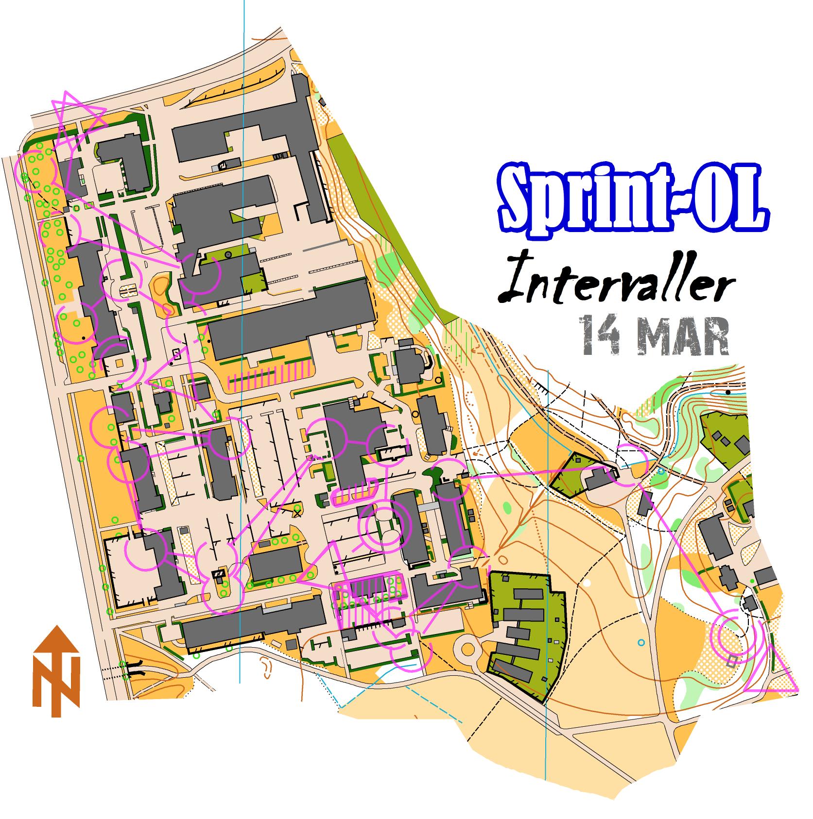 SprintOL-Intervaller, del 1 (14/03/2013)