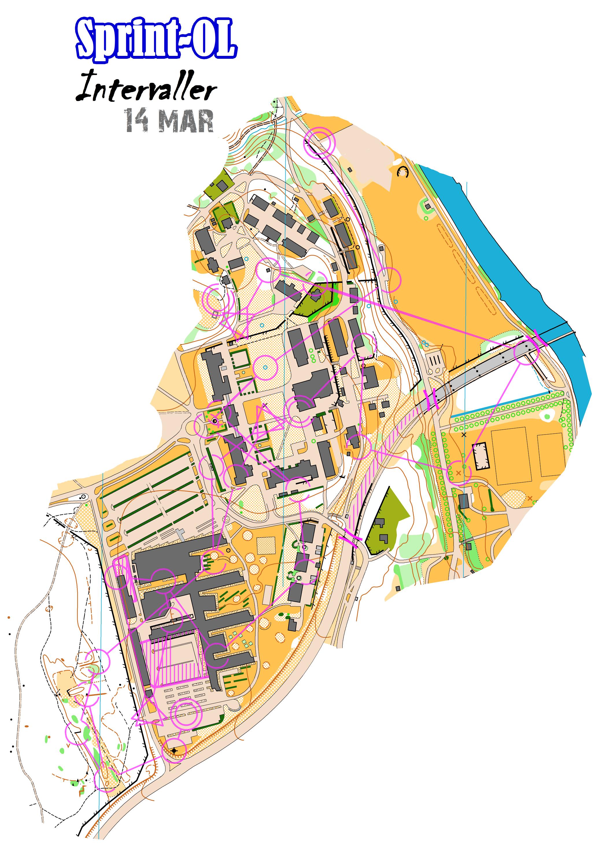 SprintOL-Intervaller, del 2 (14.03.2013)