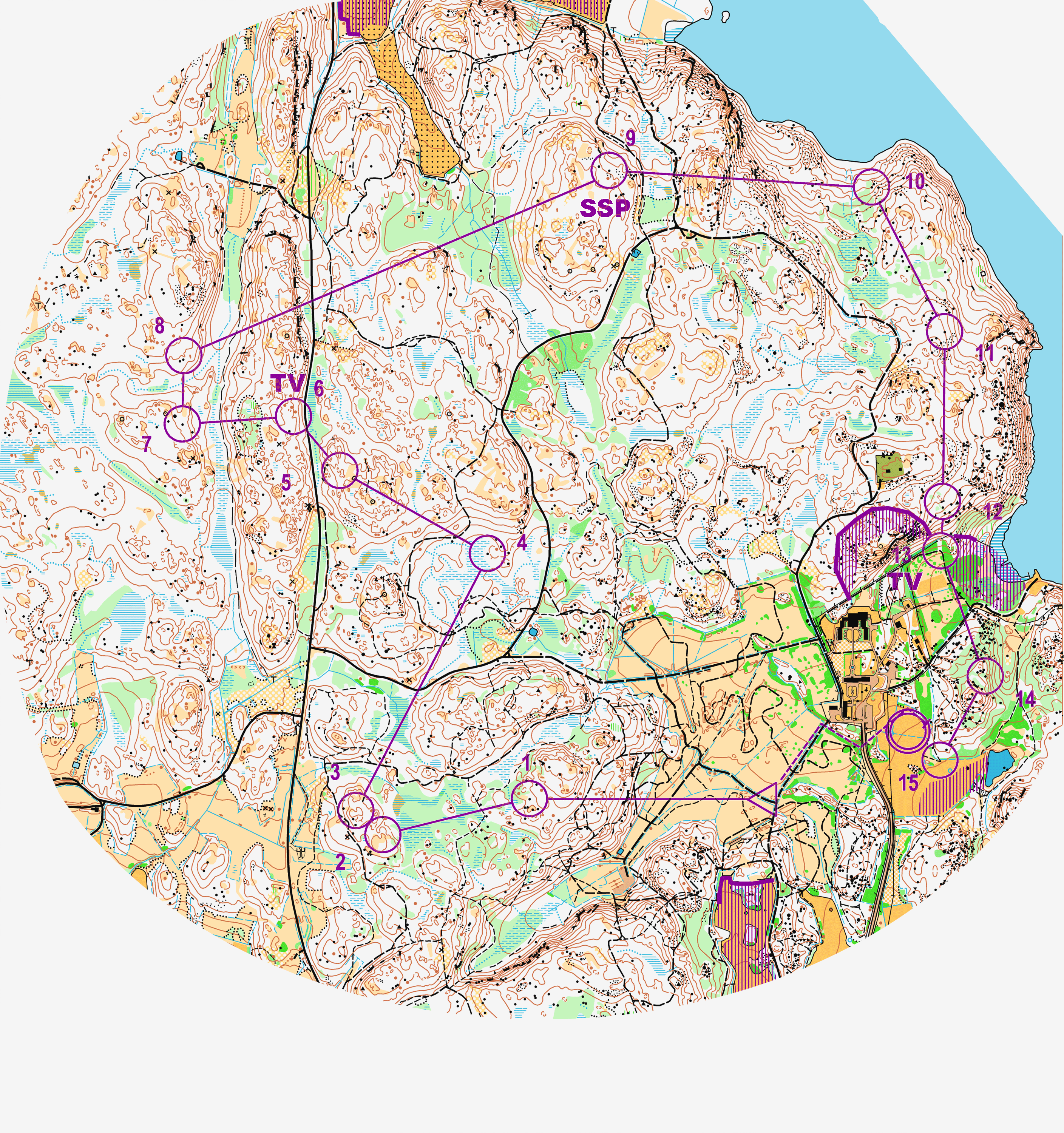 Tiomila 2013 - leg 7 (05.05.2013)