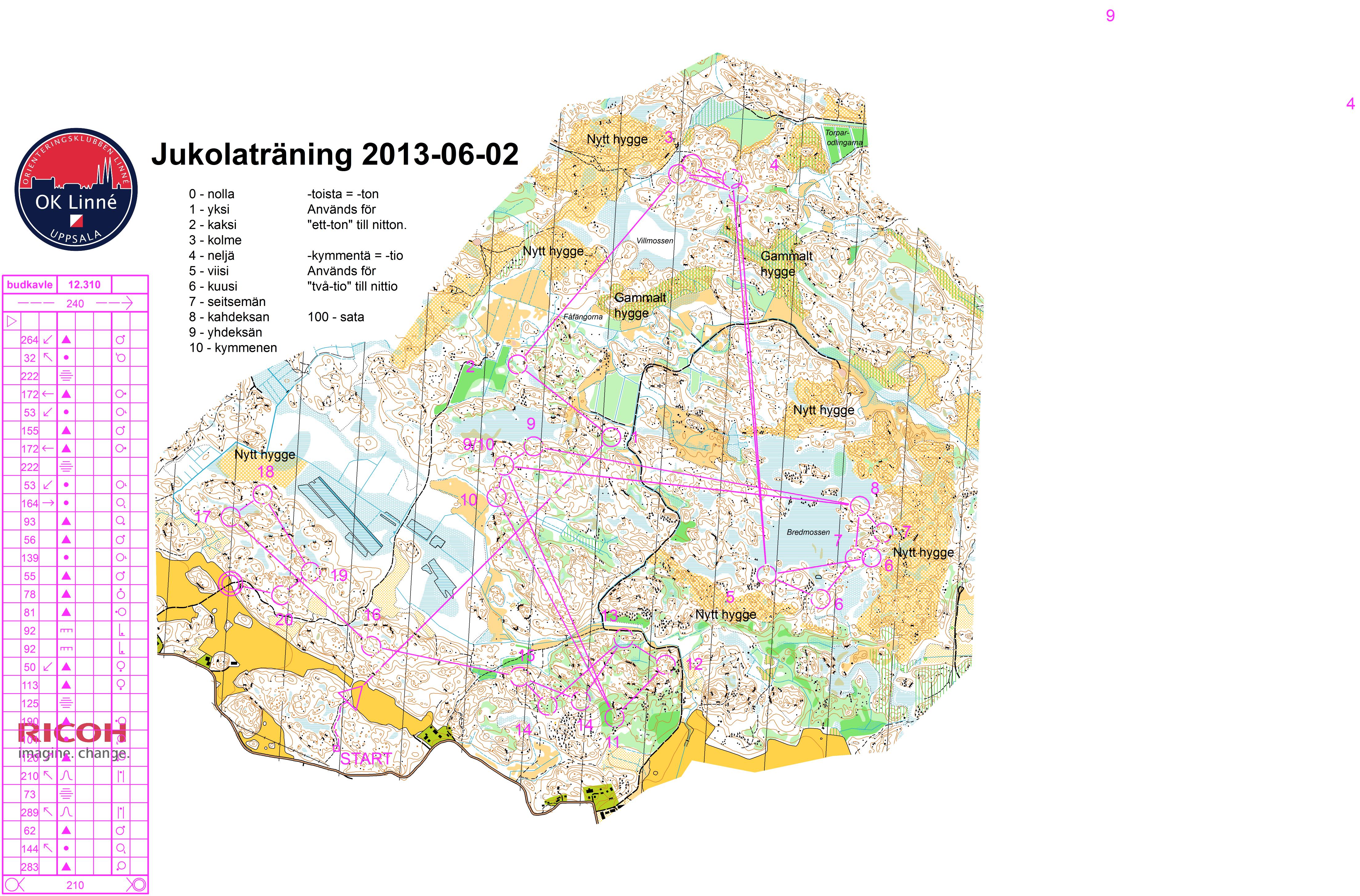 Jukolaträning - alla gafflingar (02-06-2013)