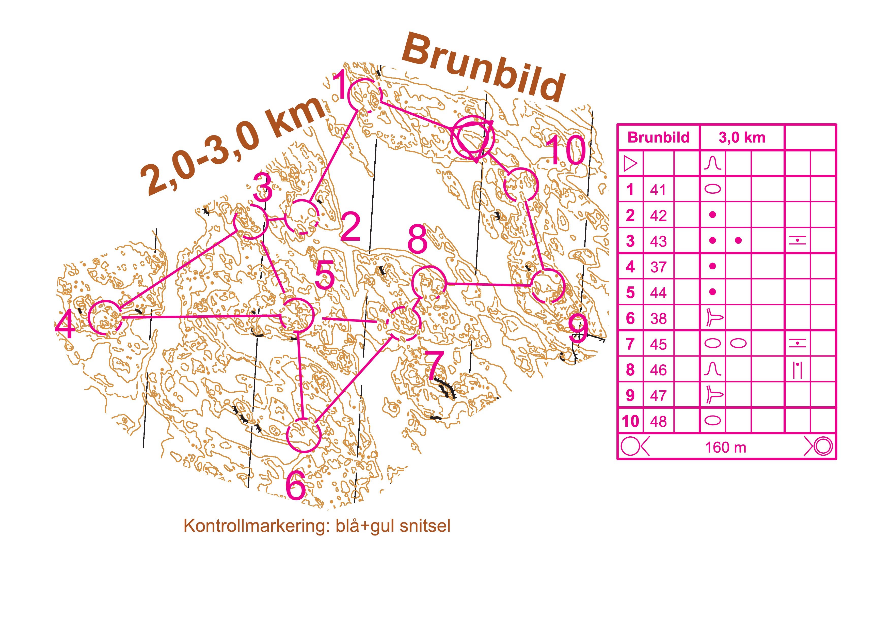 Nåsten Brunbild (20-06-2013)