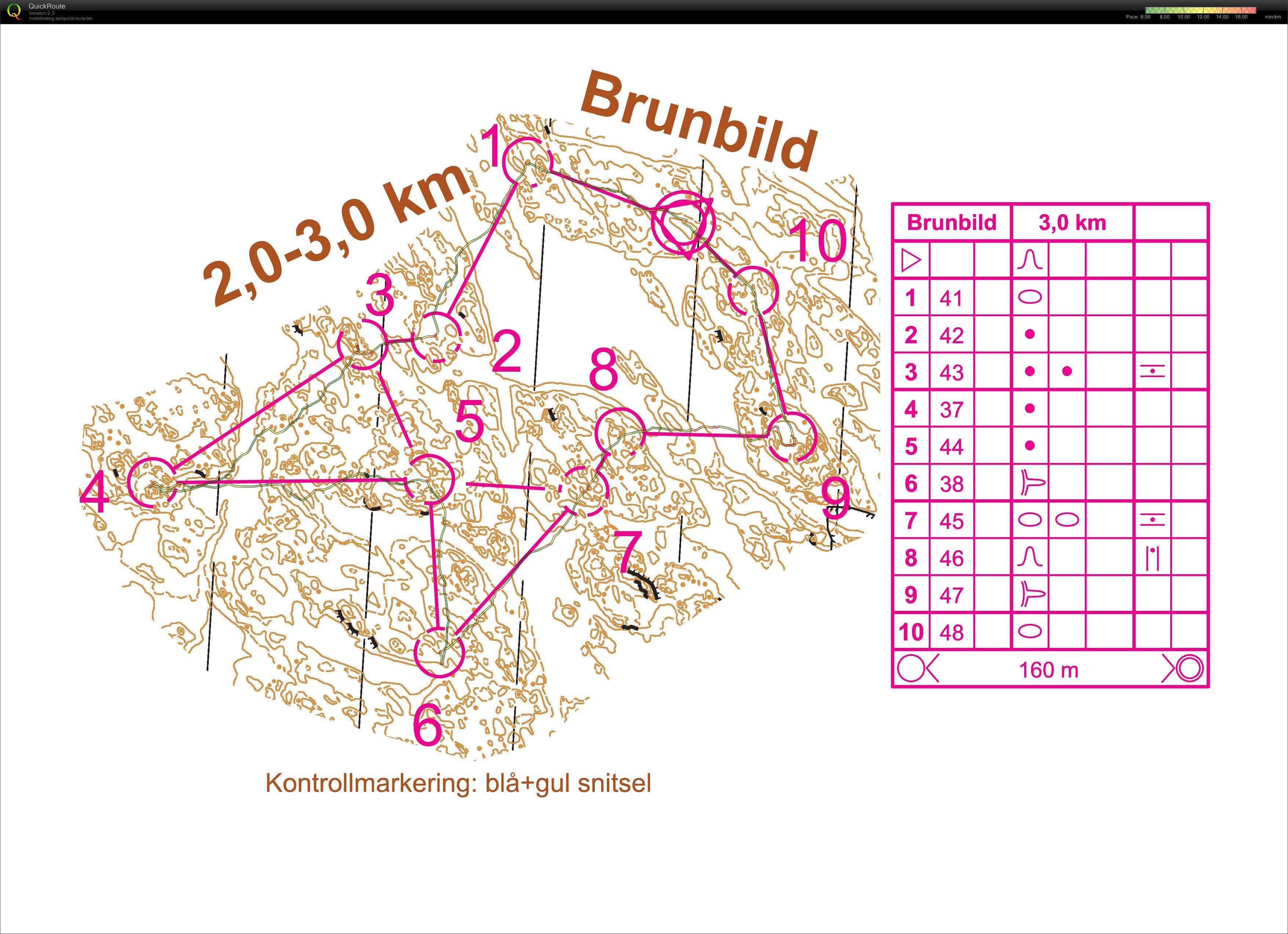 Nåsten Brunbild (20.06.2013)