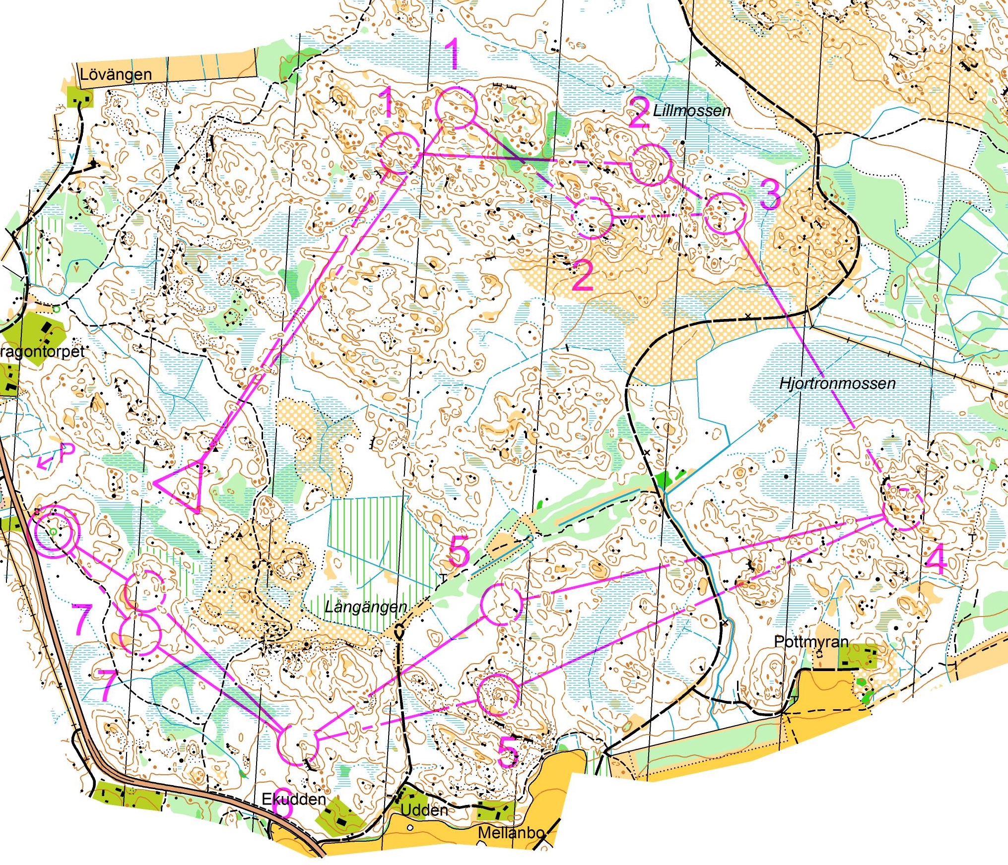 Smålandskavlefinslip 4,0 km (2013-10-24)
