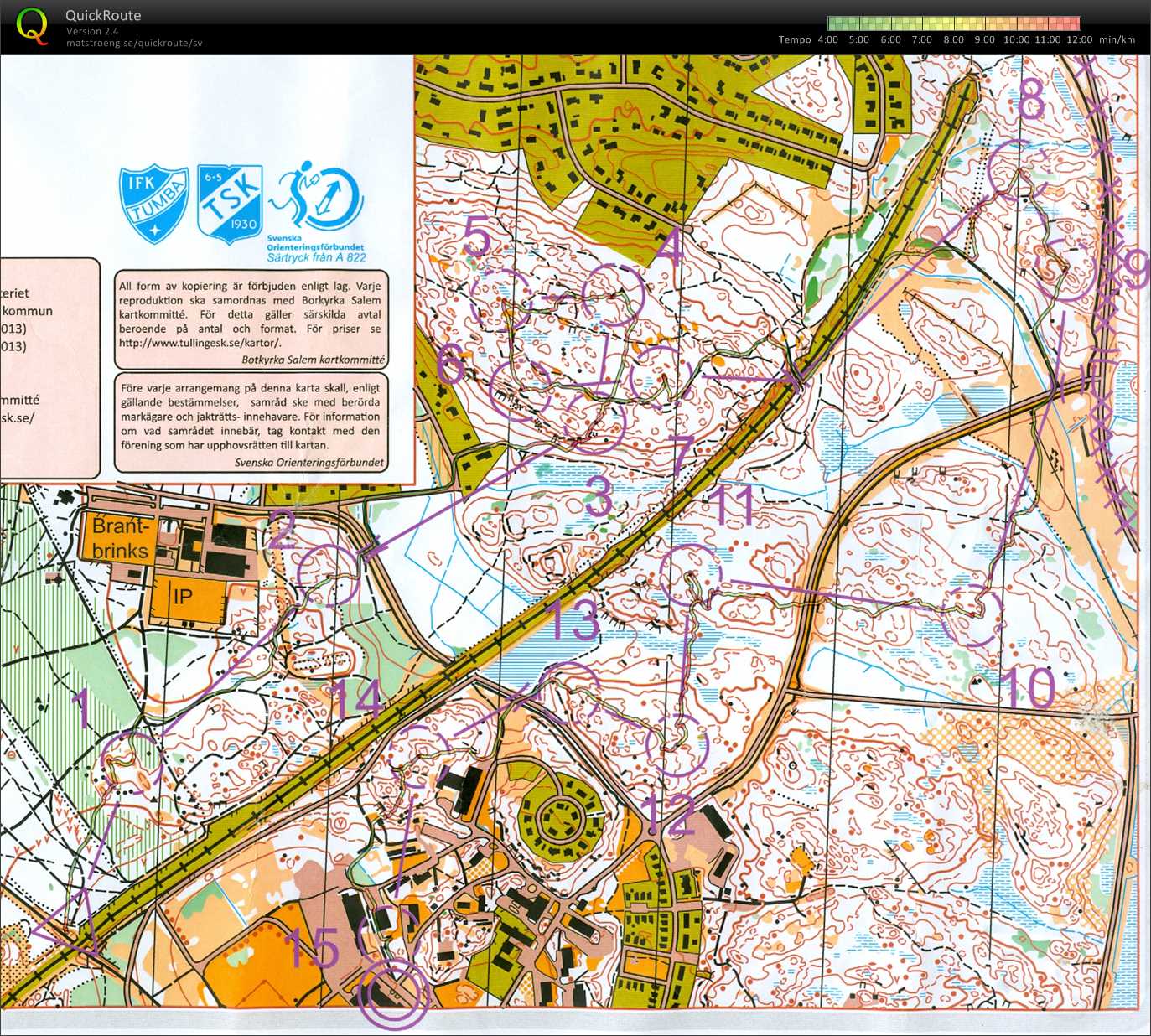 Novembertävlingarna lång (2013-11-10)