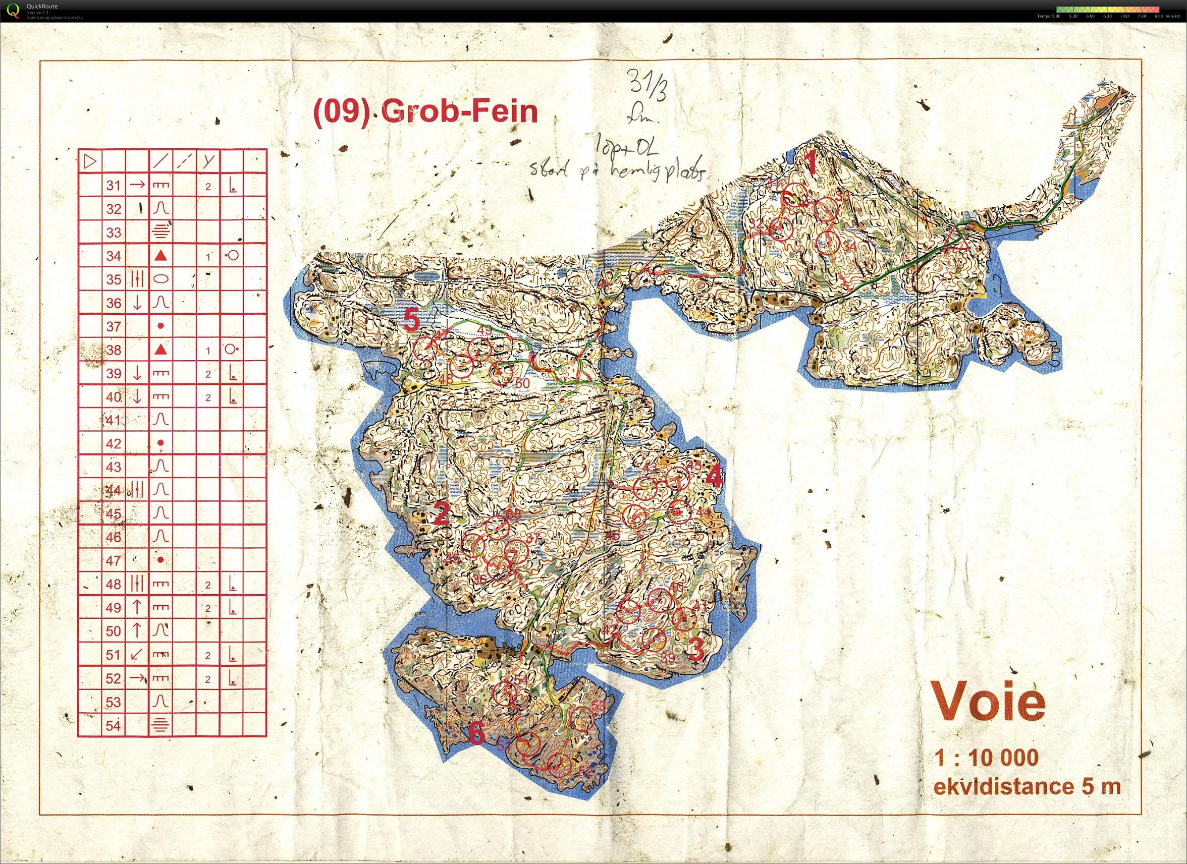 Kontrollplock (2010-03-31)