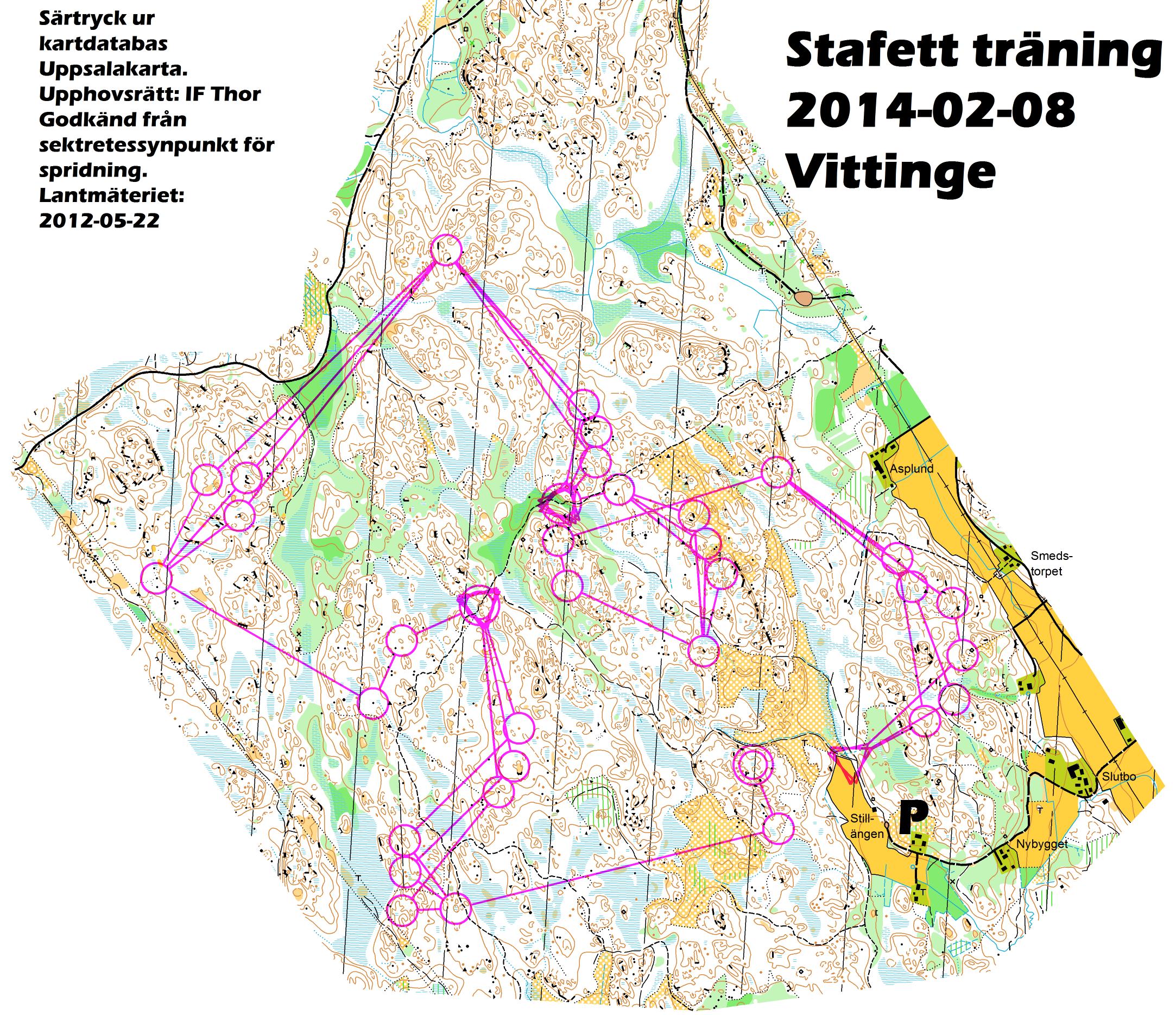 Stafetträning (08/02/2014)