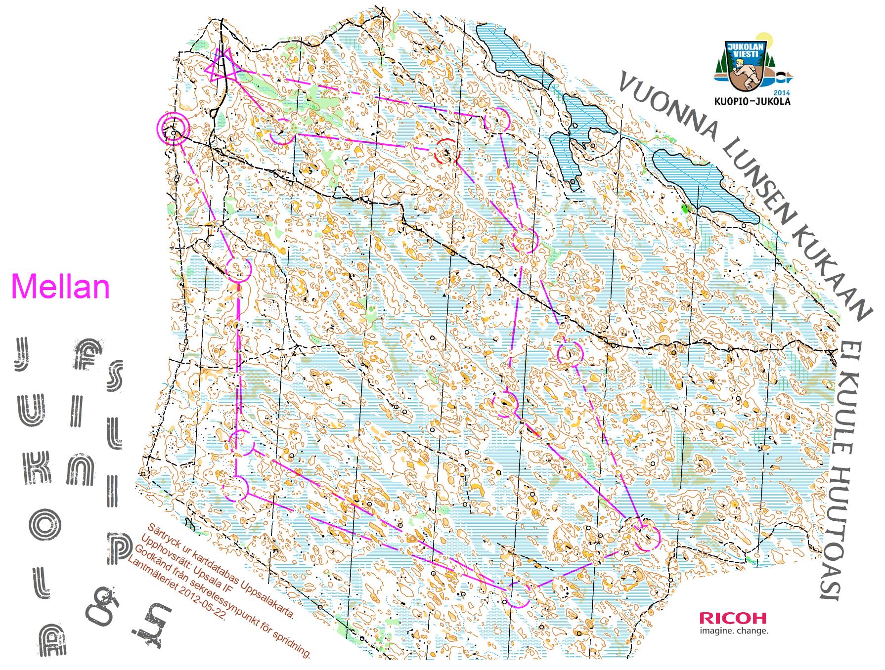 Jukola-finslip, Mellan (09.06.2014)