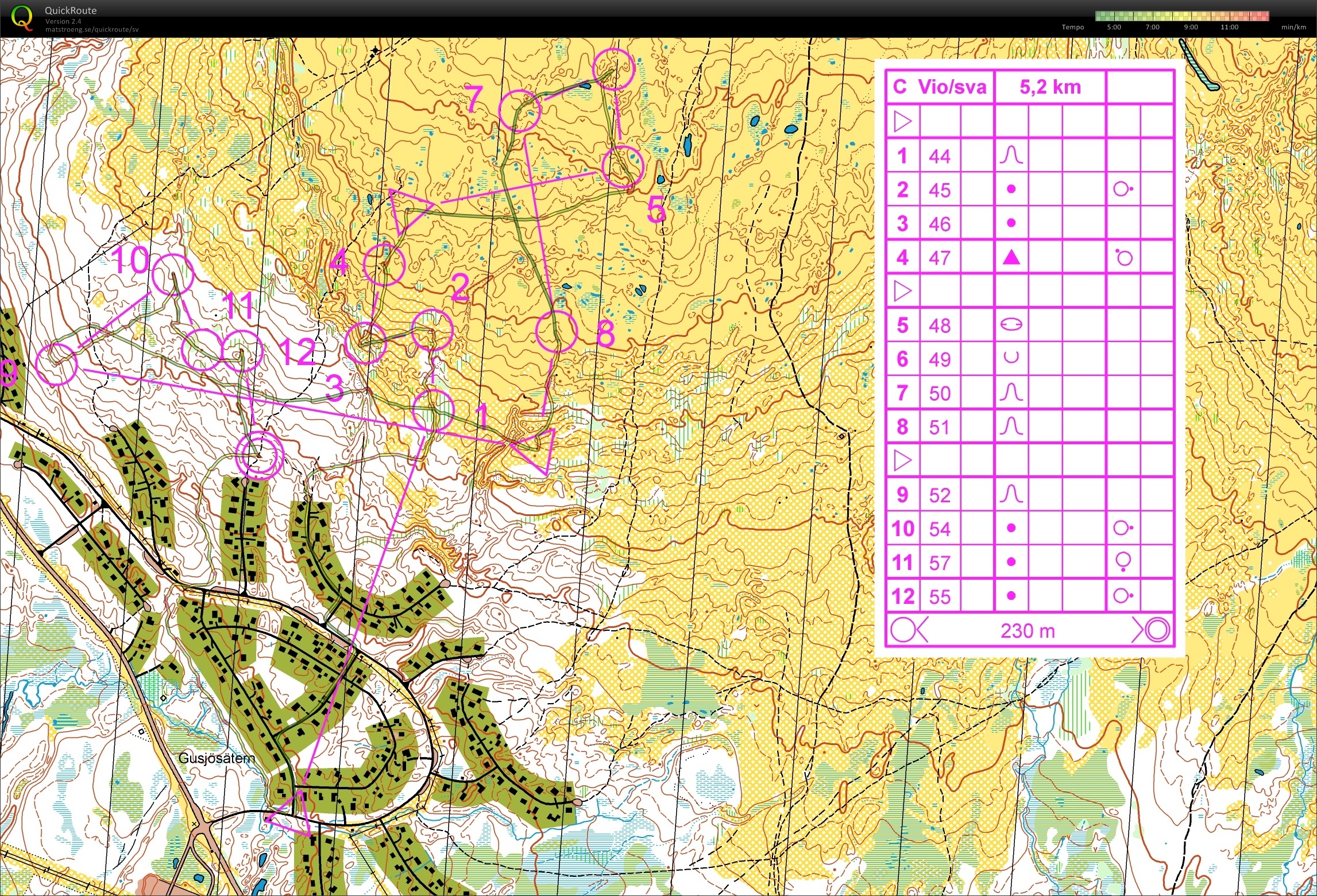 Fjäll ol intervaller rikslägret 2014 (26.06.2014)