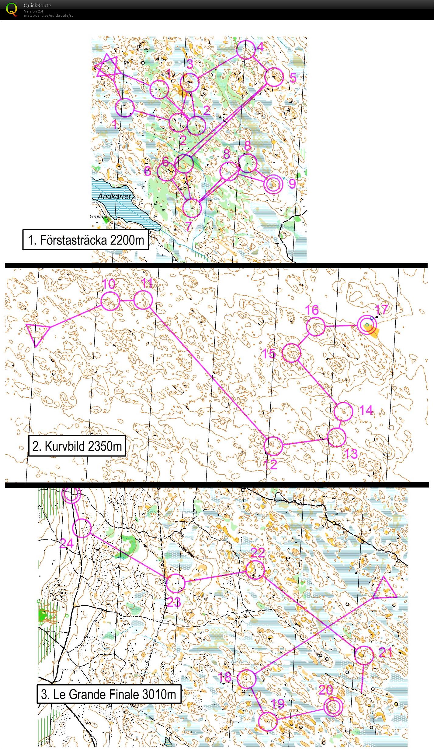 Rally O (2) (28.07.2014)