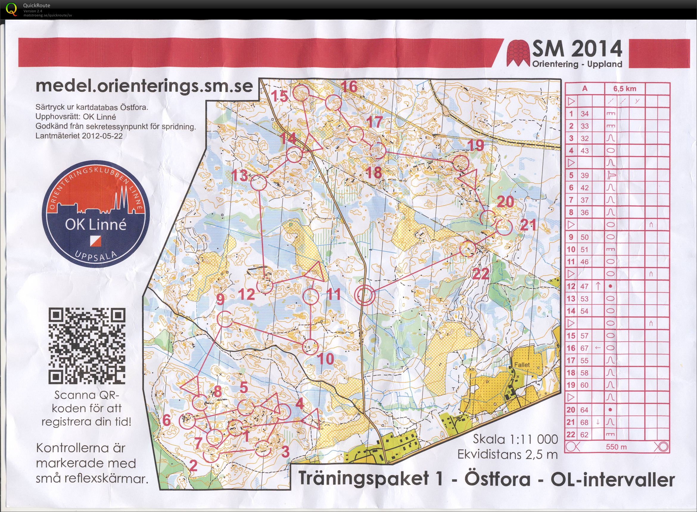 SM-träning OL-intervaller (30/07/2014)