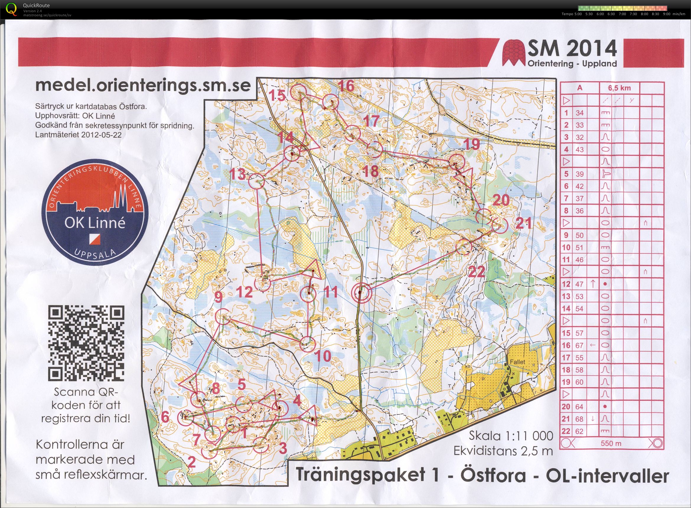 SM-träning OL-intervaller (30-07-2014)