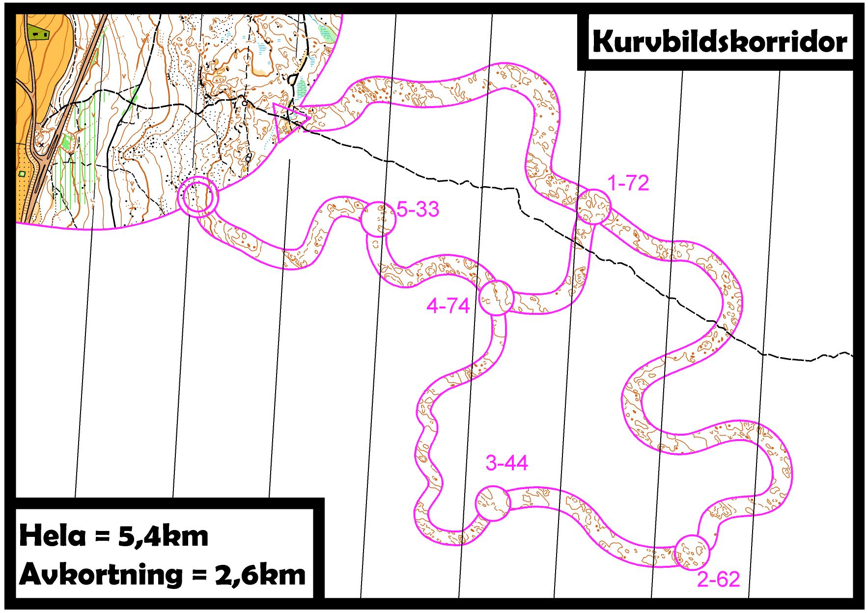 Kurvbildskorridor (15/02/2015)