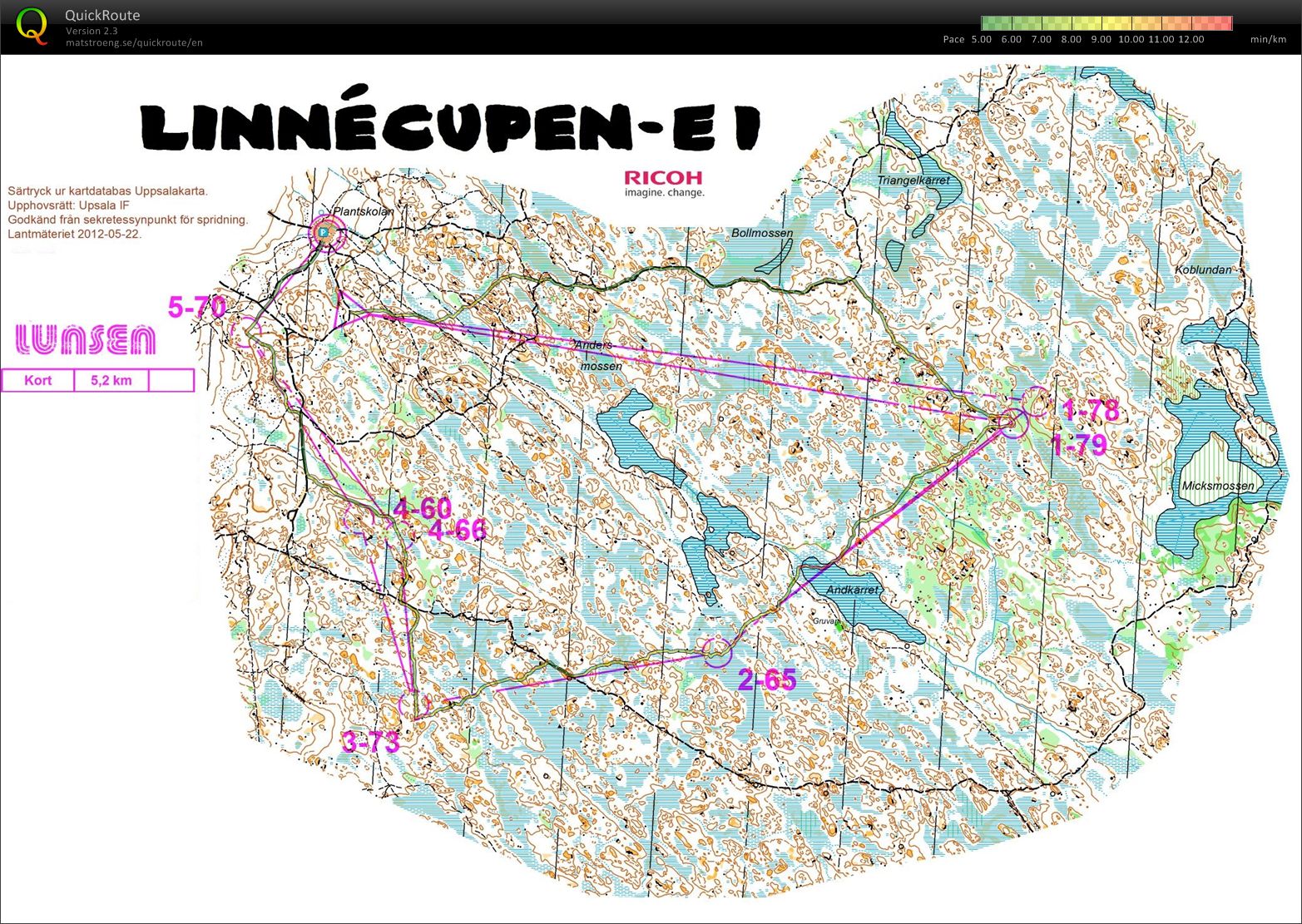 Linnécupen E1 (10-01-2015)