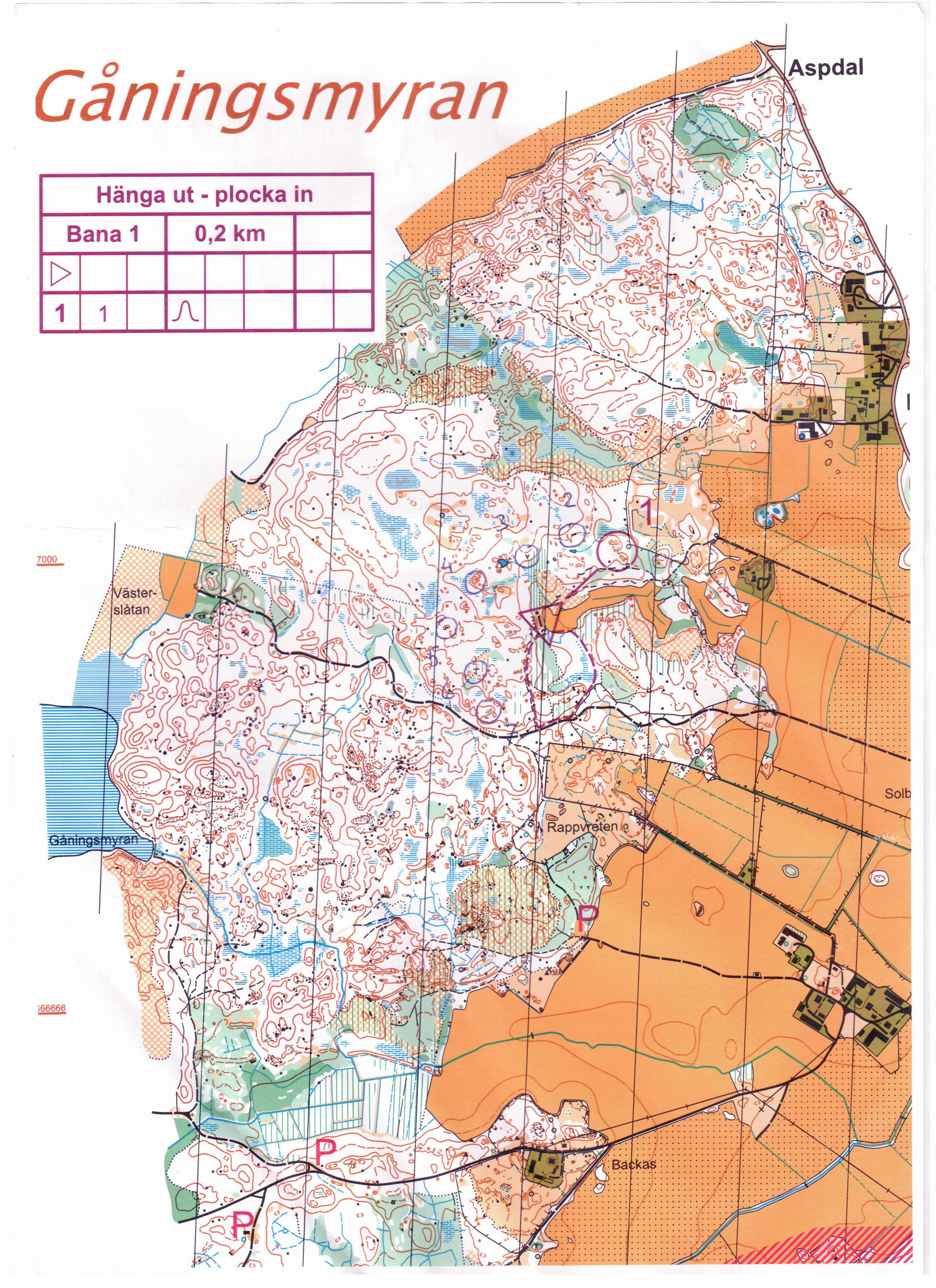 Distrikts-läger keps-OL (30-05-2015)