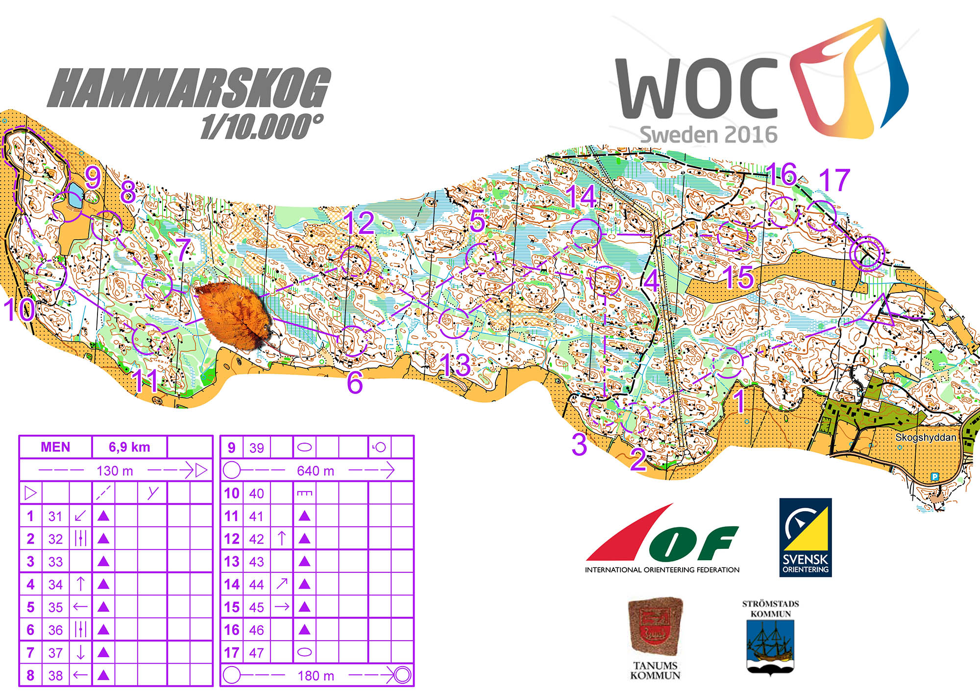 Middle distance - Men (19/11/2015)