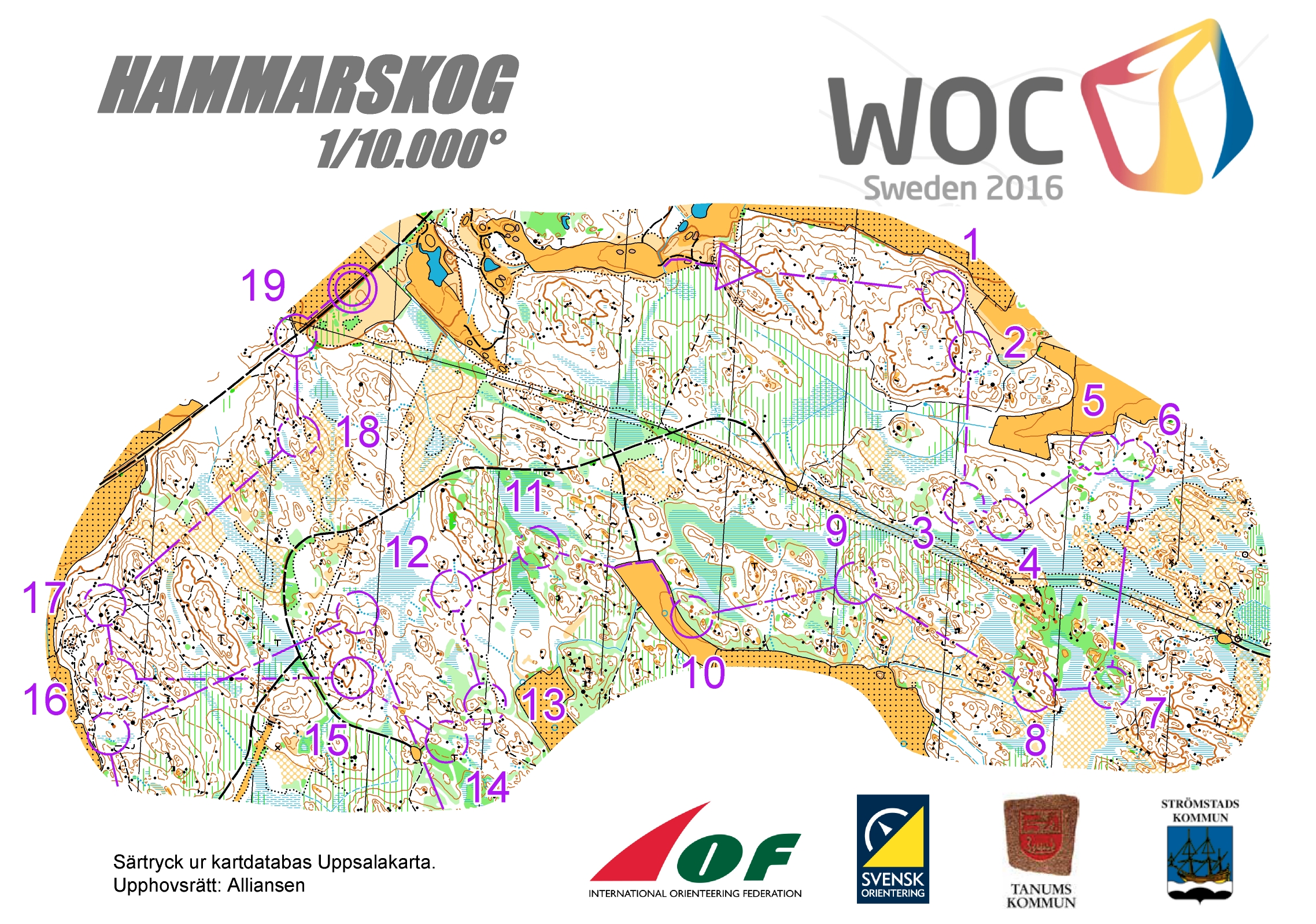 Middle distance - Men (26-11-2015)