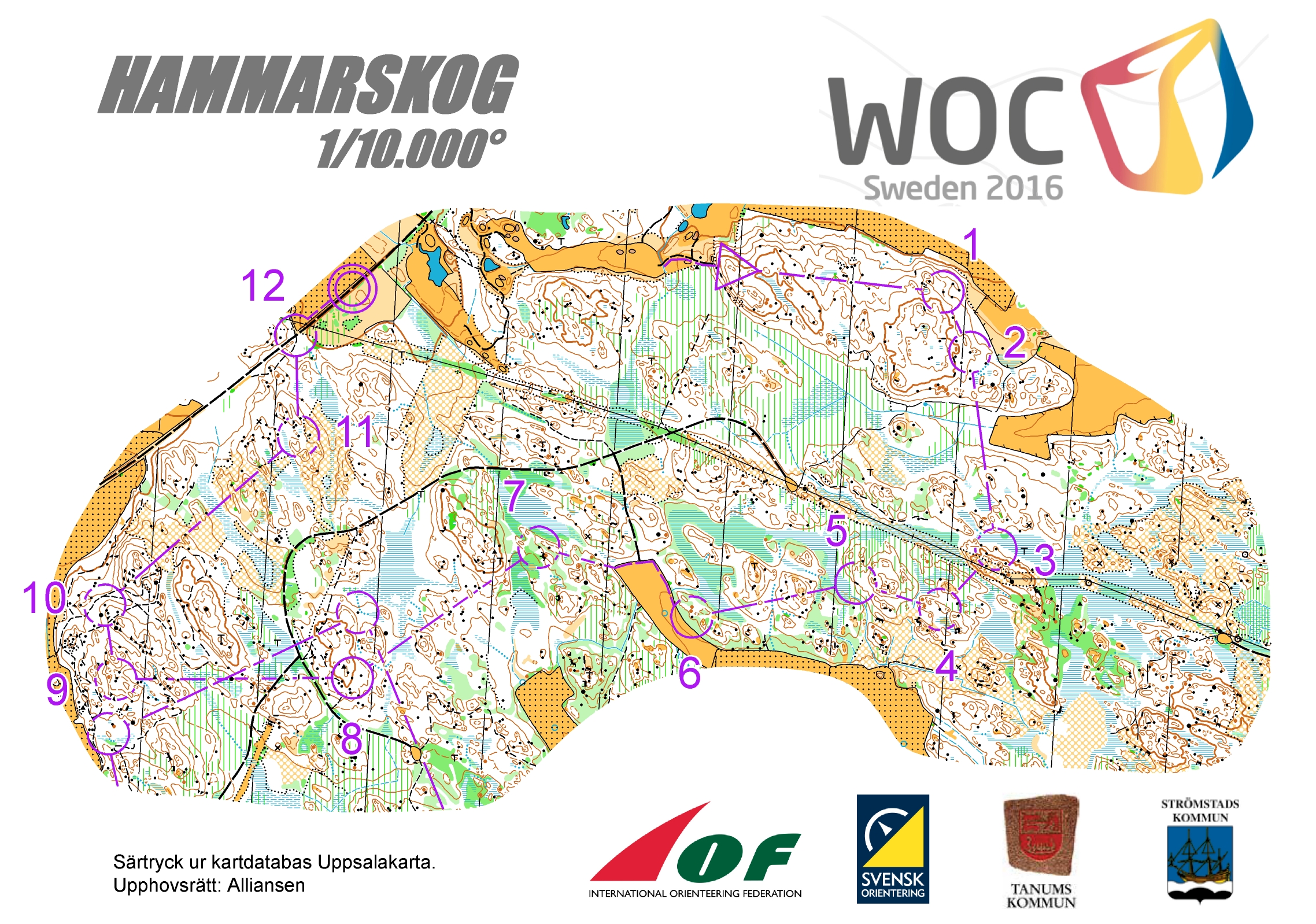 Middle distance - Women (26.11.2015)