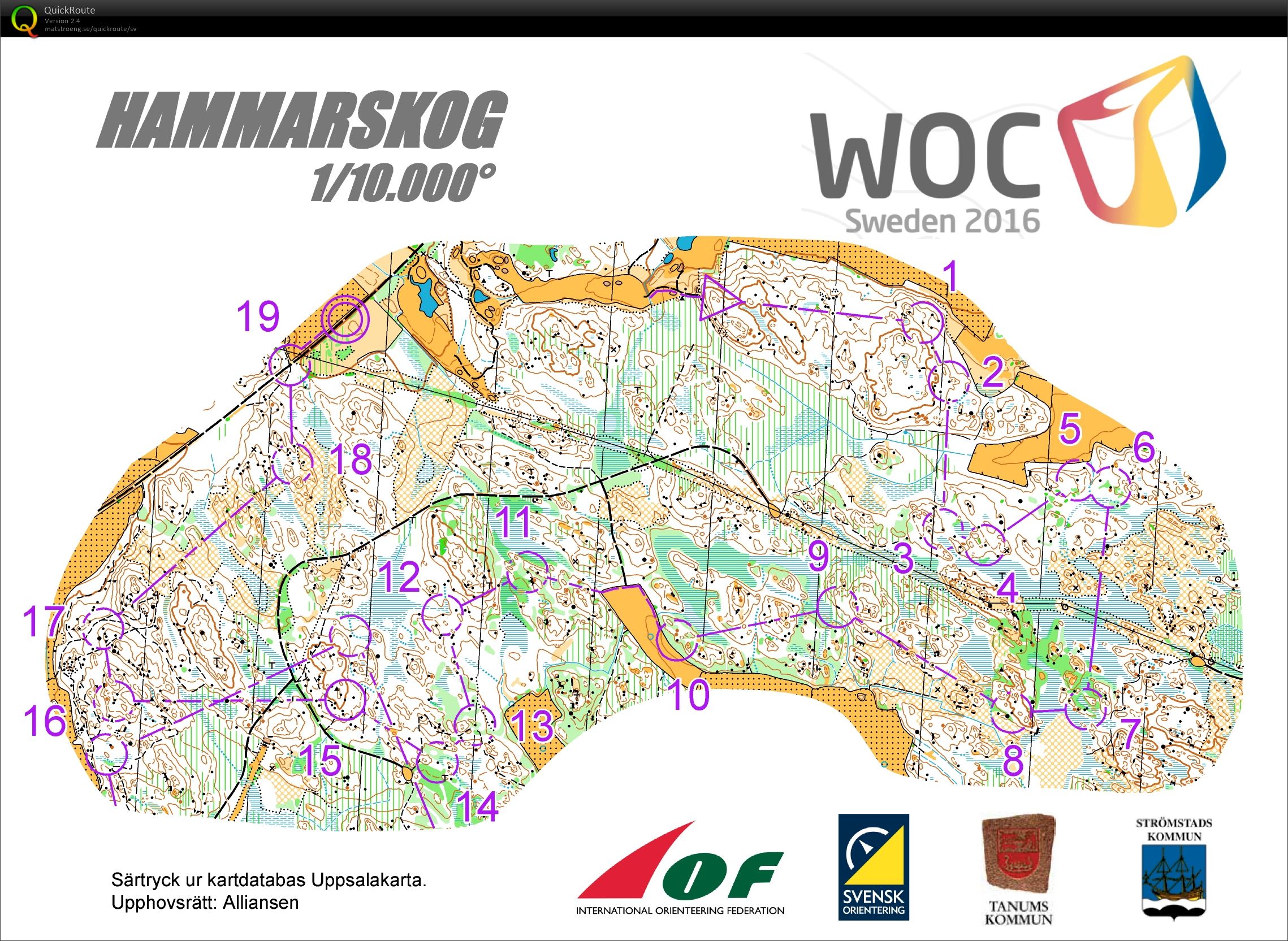 Medel Hammarskog (2015-11-26)