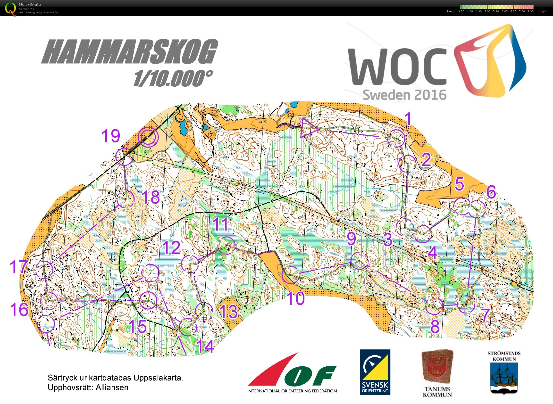 Medel Hammarskog (26/11/2015)