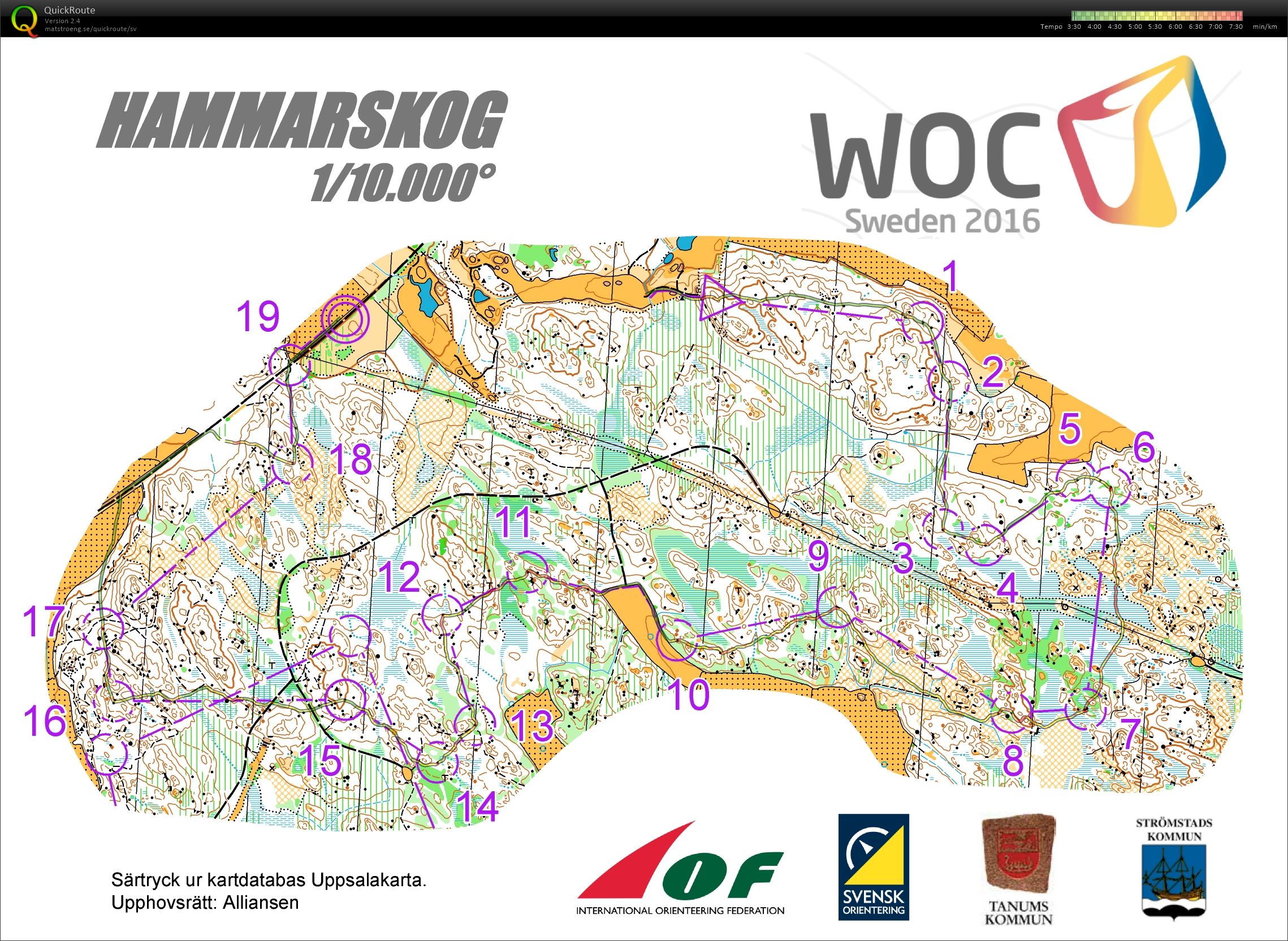 Medel Hammarskog (2015-11-26)