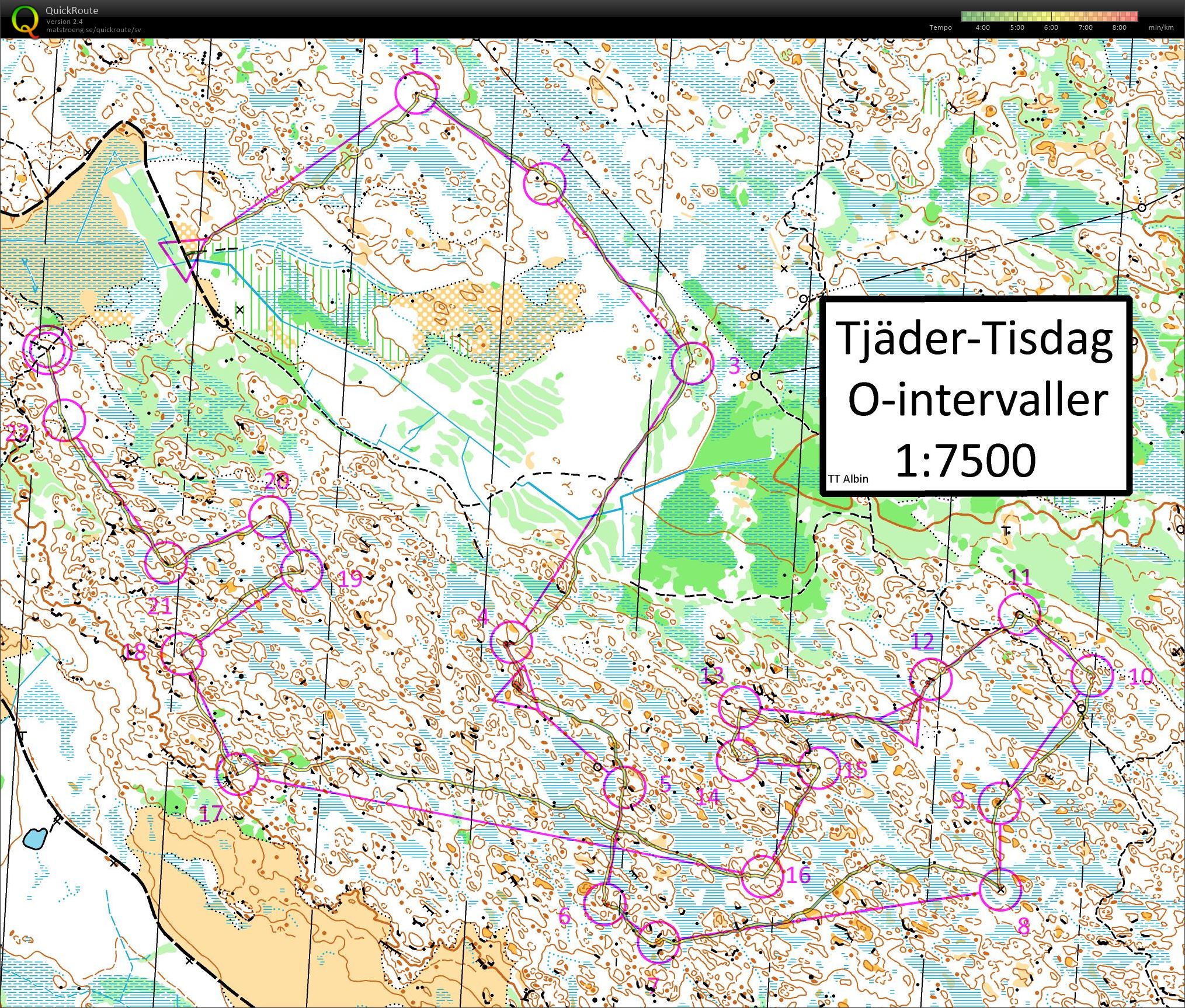 Tjäder-Tisdag Intervaller (22.12.2015)