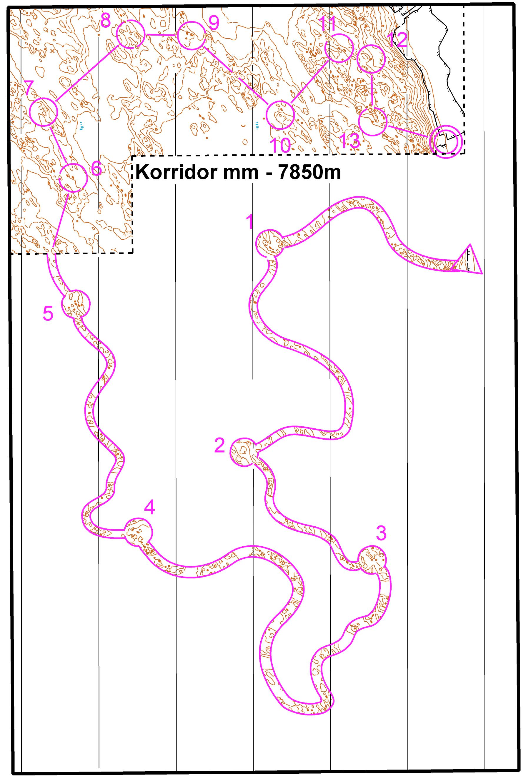 Kurvbildskorridor (13/02/2016)