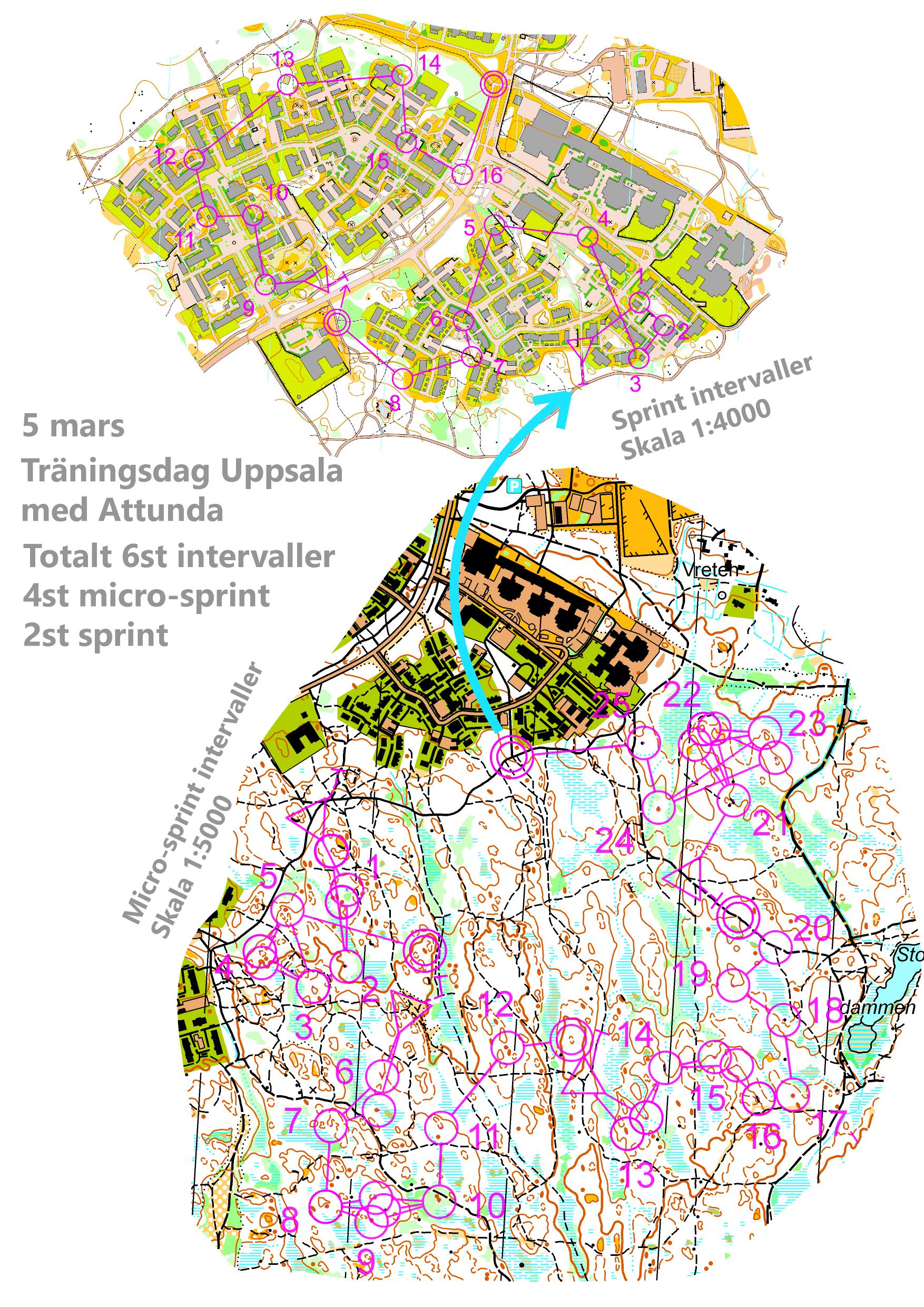 Micro-sprint och sprint (AA-gaffel) intervaller (2016-03-05)