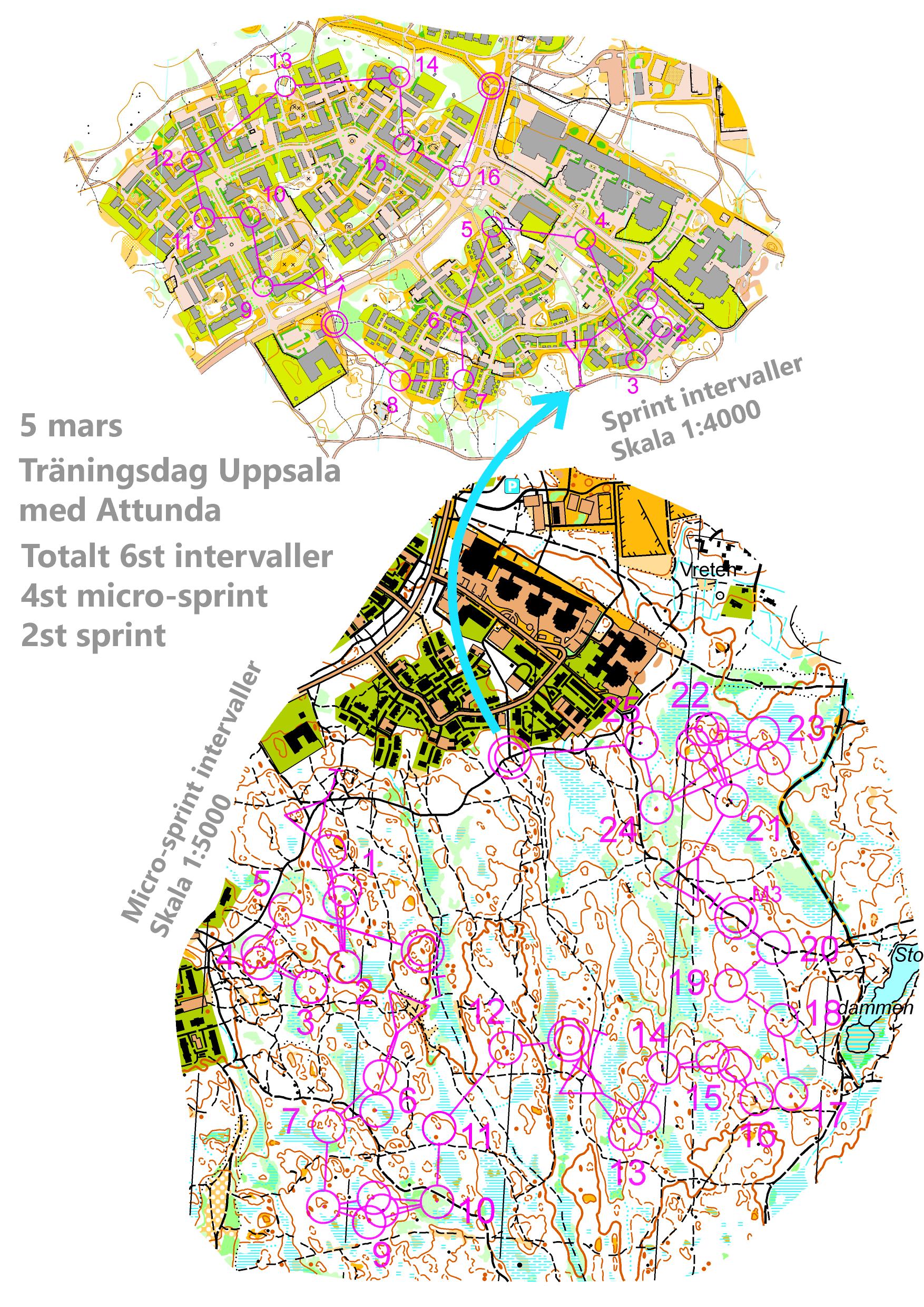 Micro-sprint och sprint (BB-gaffel) intervaller (2016-03-05)