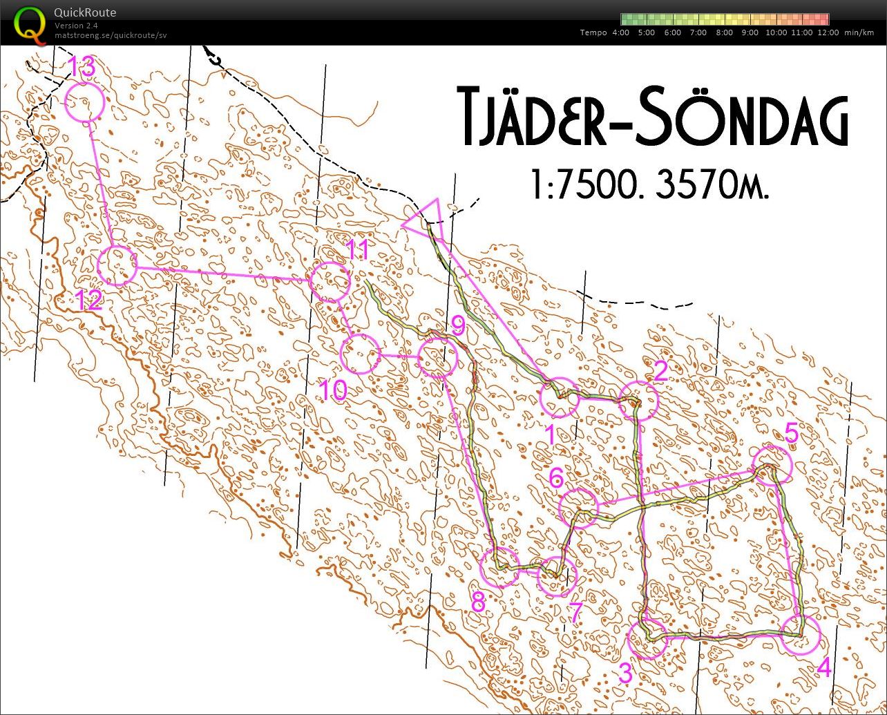 Tjäder-Söndag (14.08.2016)