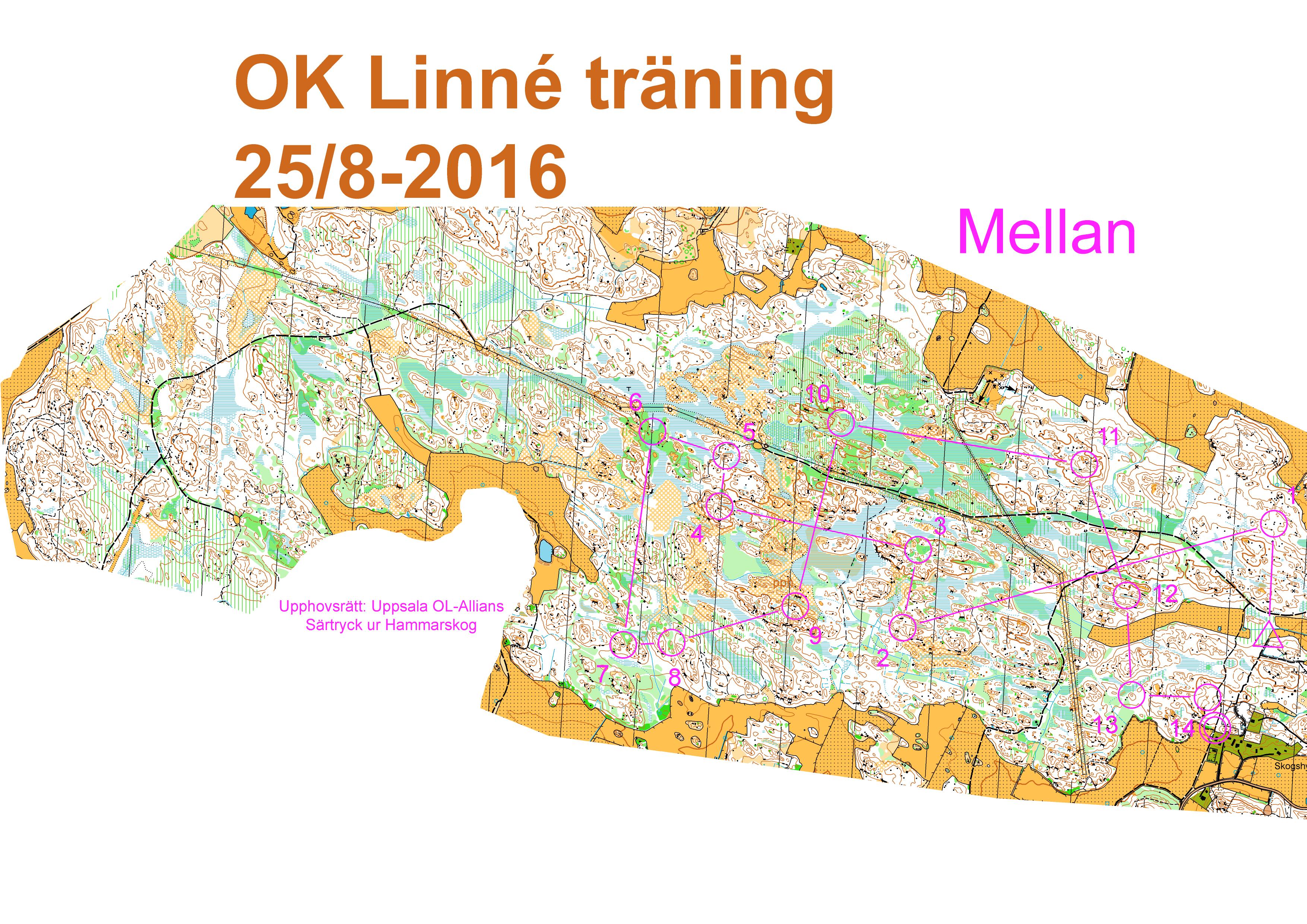 Torsdagsträning Mellan (24.08.2016)