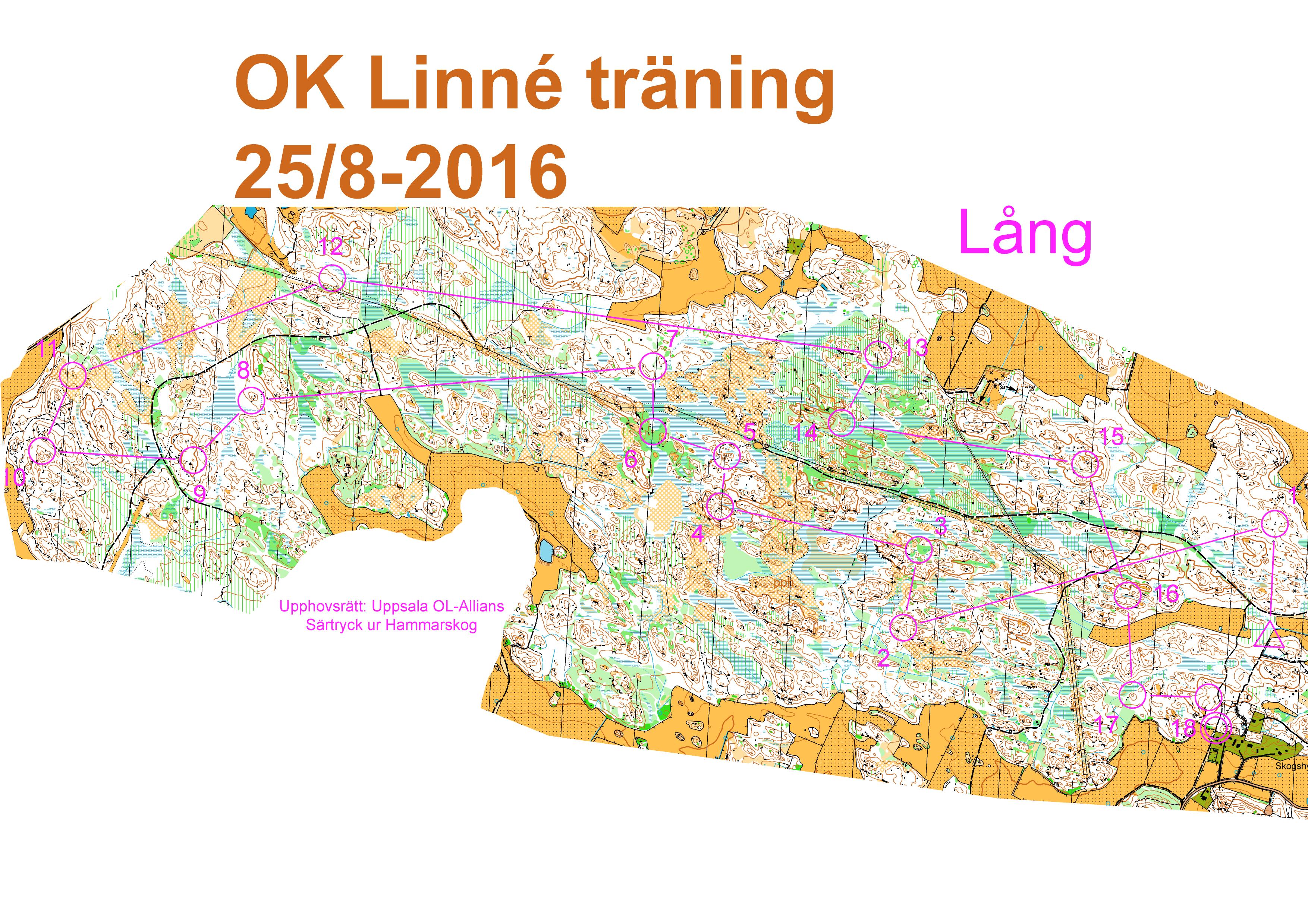 Torsdagsträning Lång (24-08-2016)