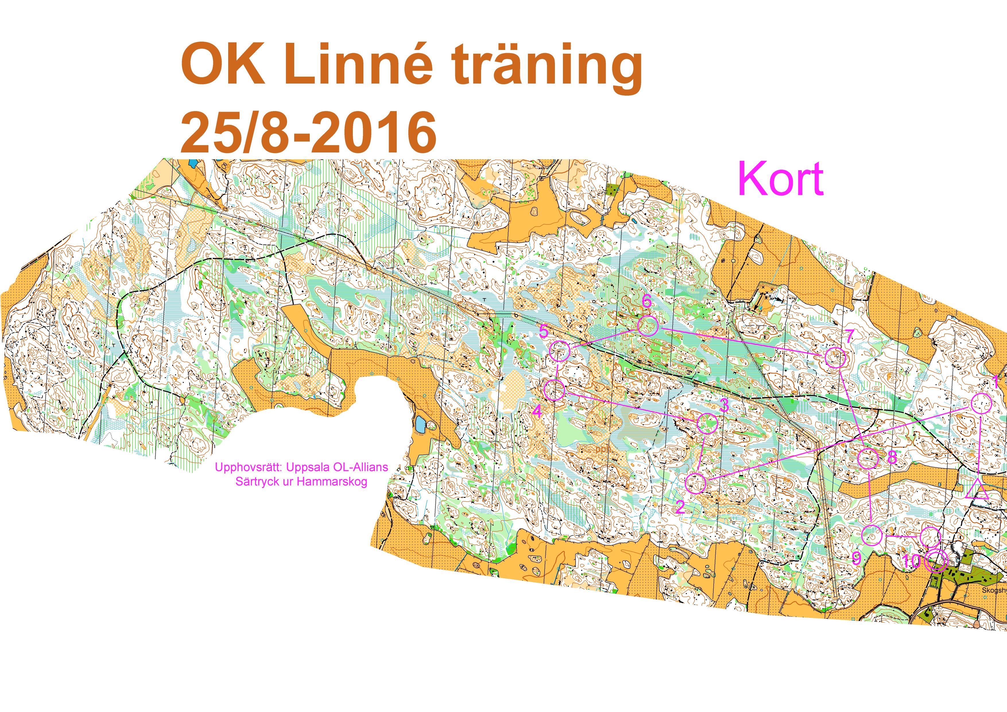 Torsdagsträning Kort (24.08.2016)