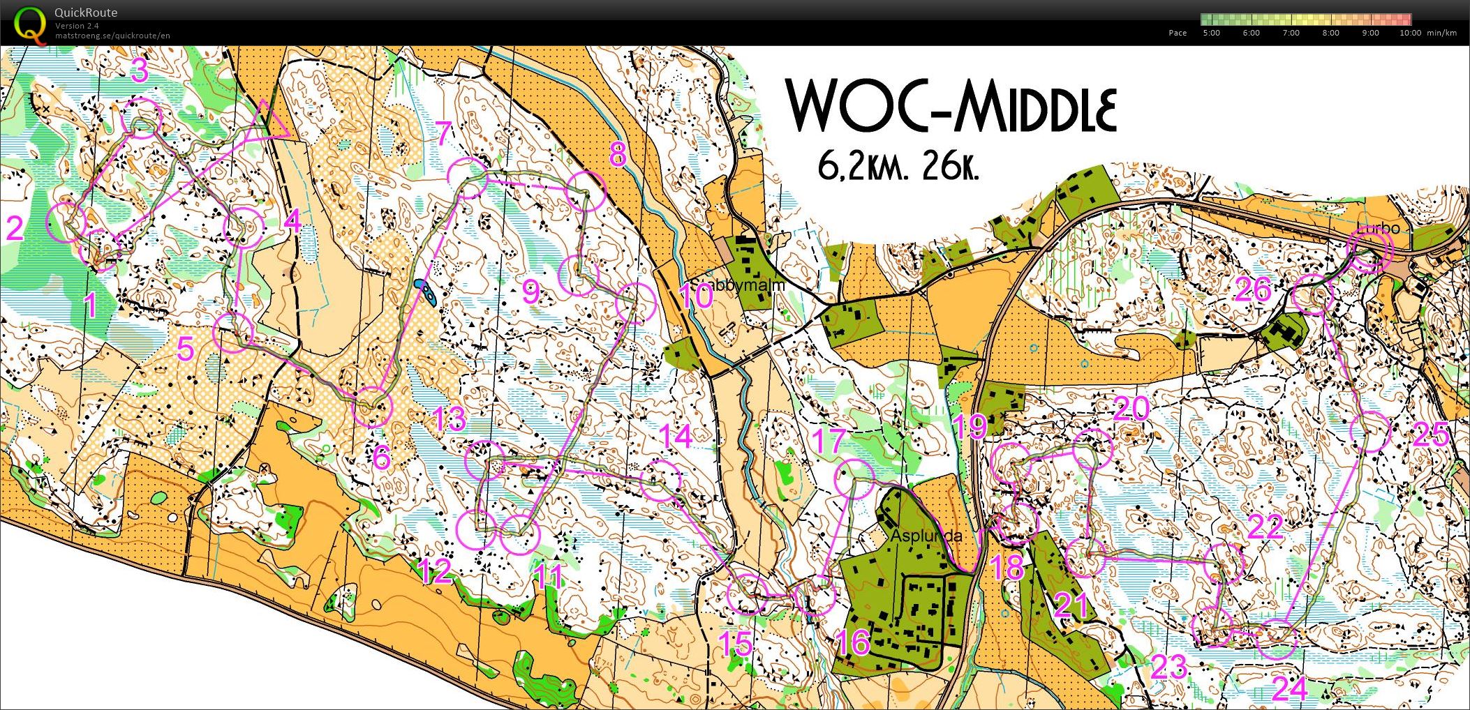 VM-träning (4) (2017-06-22)