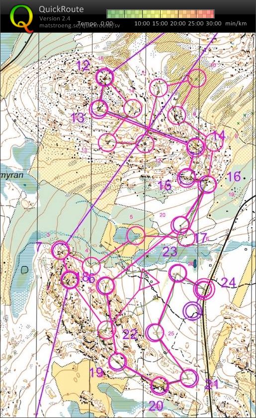 Storhea, stentorg och detaljrika berg. (11-07-2017)