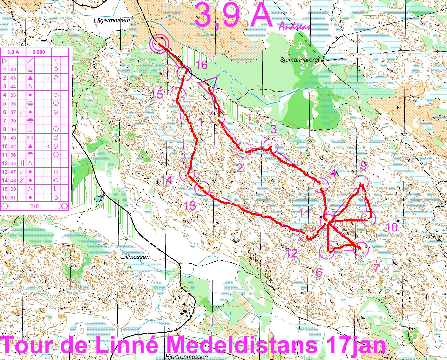Tour de Linné - Stage 5 (17/01/2009)
