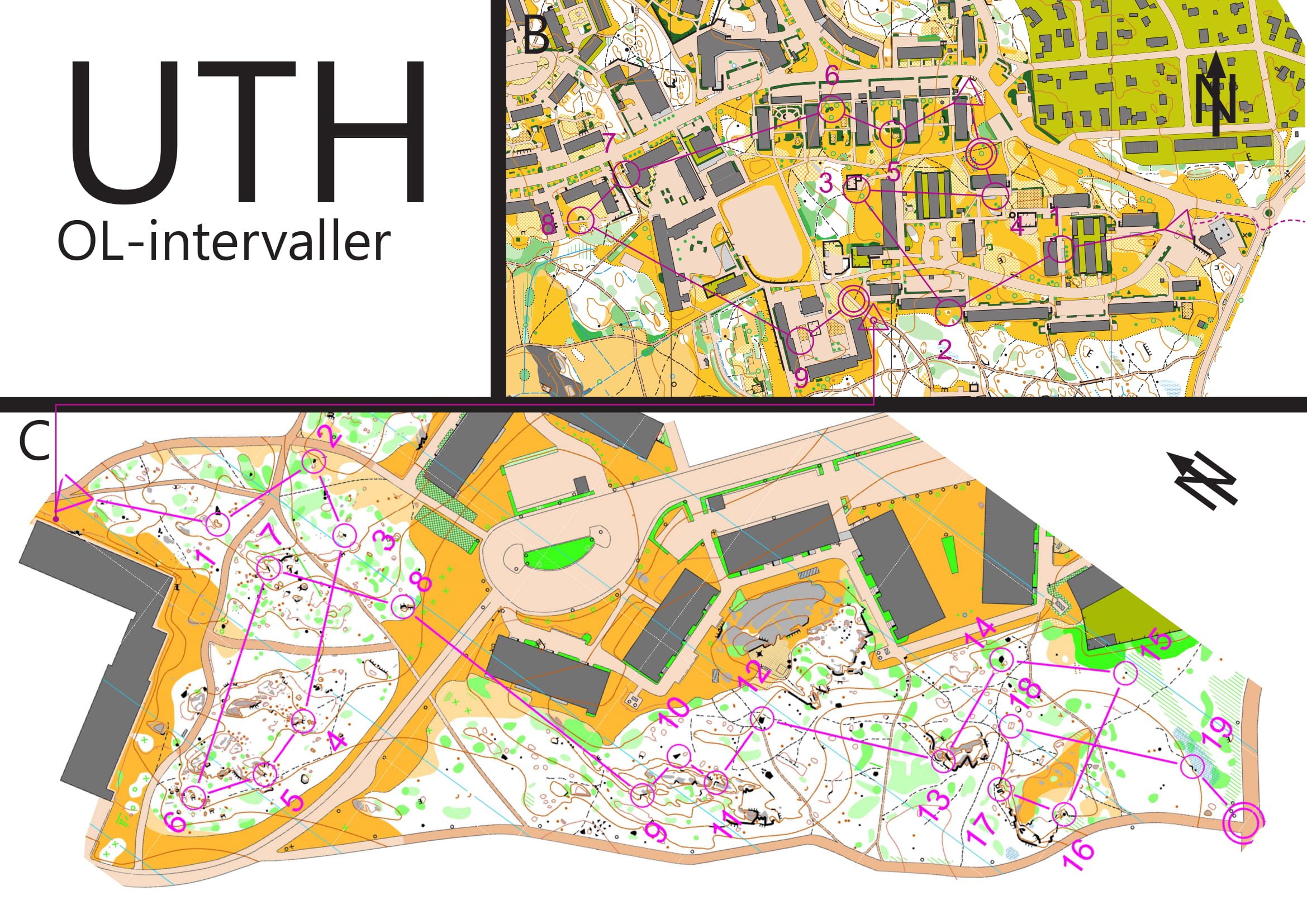 UTH 2018 E2 sprintintervaller Eriksberg/microsprint Blodan (30/11/2018)